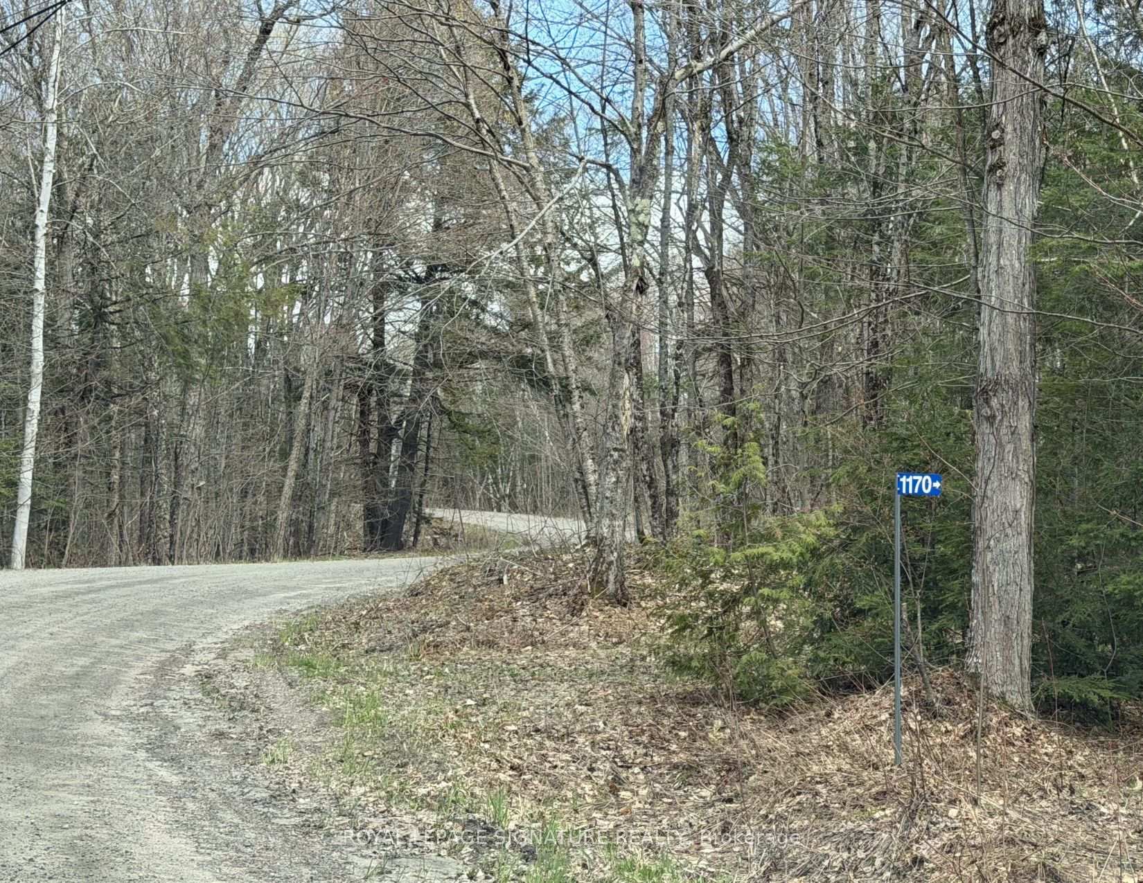 Photo 96 of 1170 Peter Road, Bracebridge, Macaulay — HOMEH