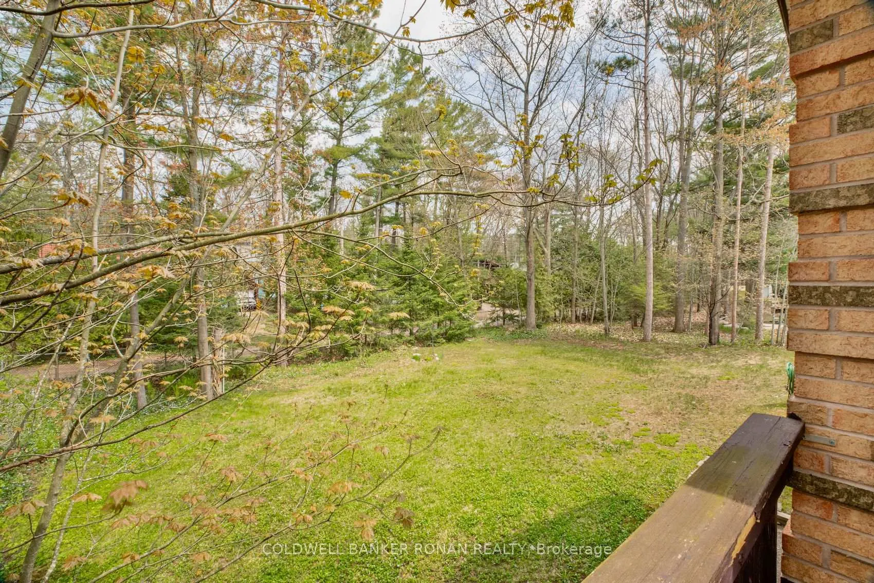 Photo 28 of 24 Pine Forest Drive, Tiny, Rural Tiny — HOMEH