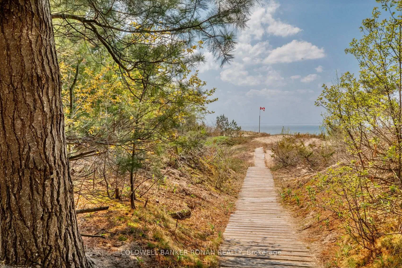 Photo 37 of 24 Pine Forest Drive, Tiny, Rural Tiny — HOMEH