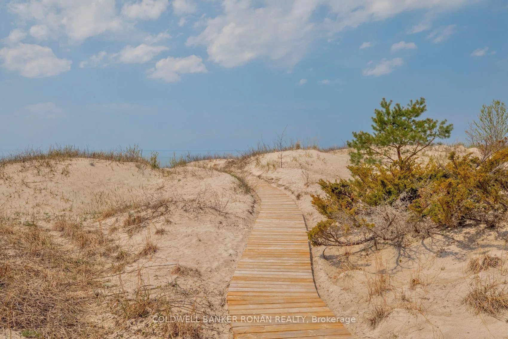 Photo 38 of 24 Pine Forest Drive, Tiny, Rural Tiny — HOMEH