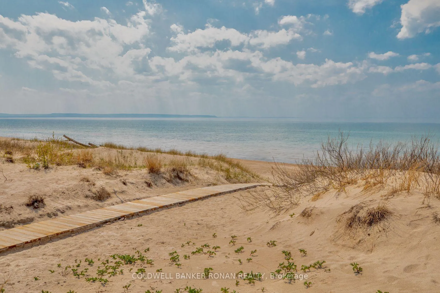 Photo 40 of 24 Pine Forest Drive, Tiny, Rural Tiny — HOMEH