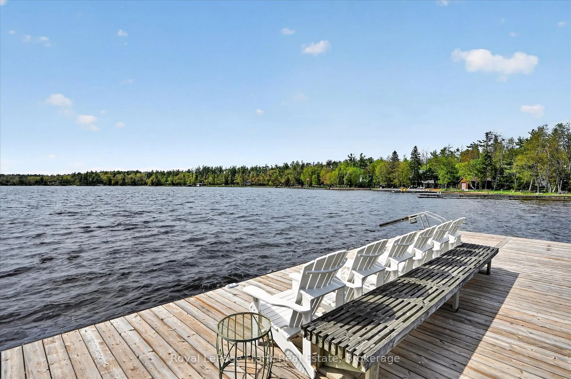 Photo 38 of 38 Napier Crescent, North Kawartha — HOMEH