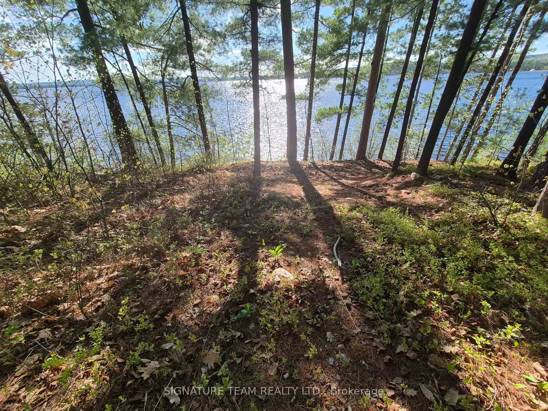 Photo 17 of Red Rock Road, Killaloe, Hagarty and Richards, Killaloe/Round Lake — HOMEH