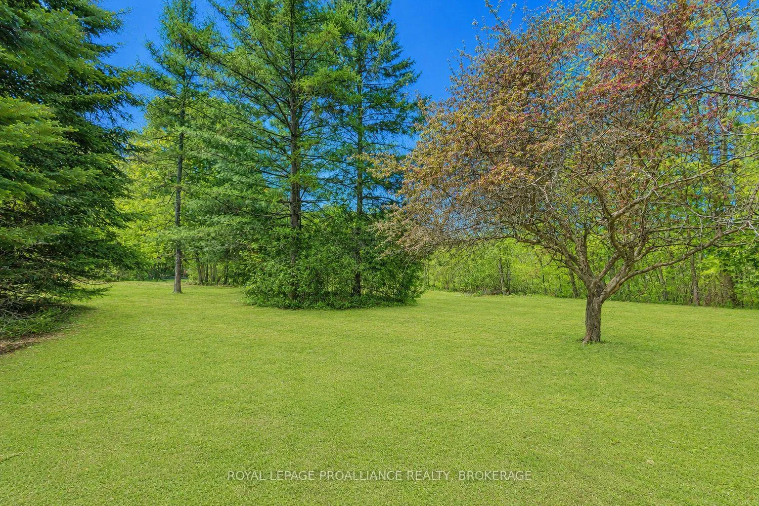Photo 42 of 3384 Murton Road, Frontenac, Frontenac South — HOMEH