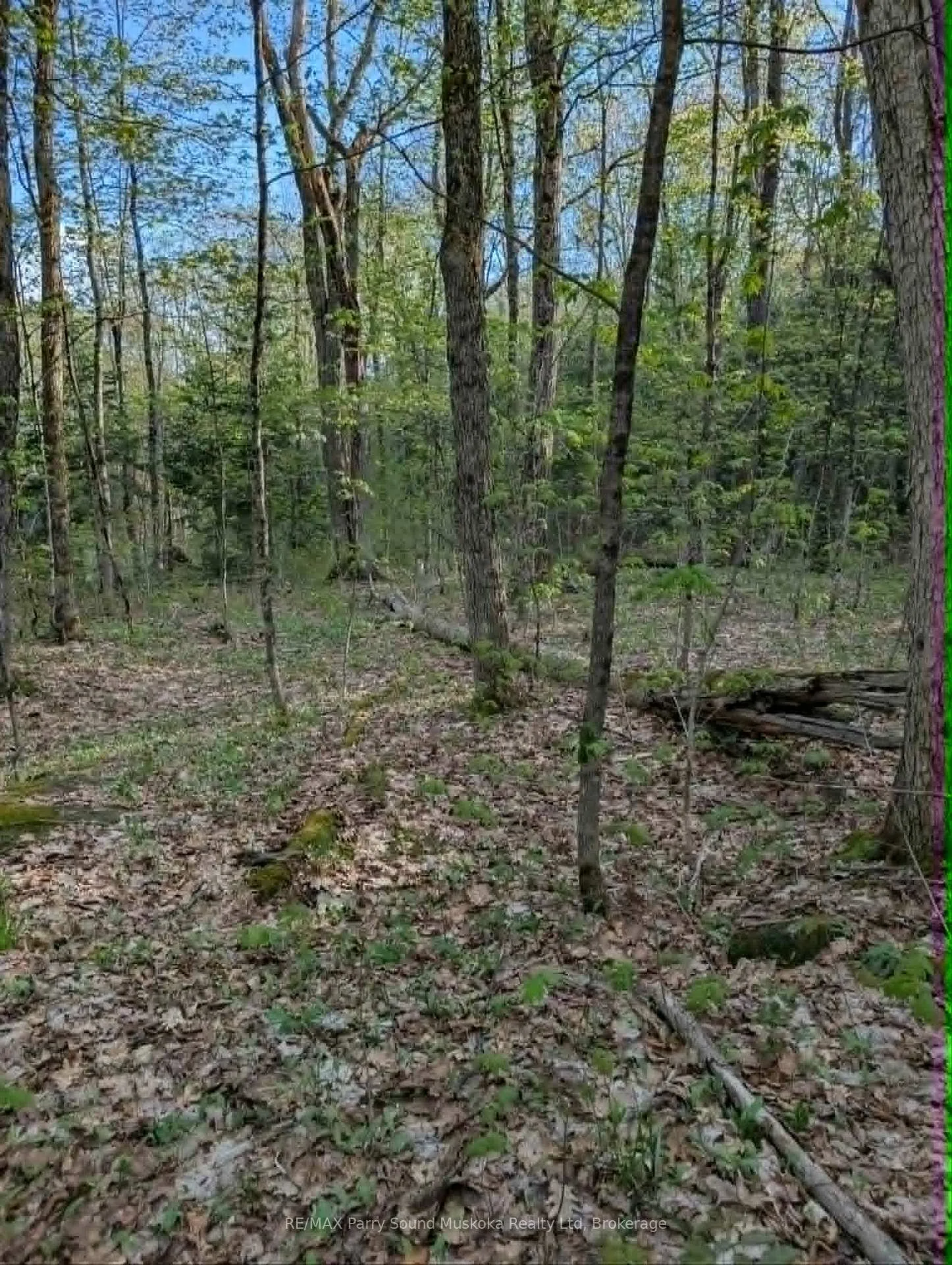 Photo 12 of Sugar Lake Road, Seguin — HOMEH