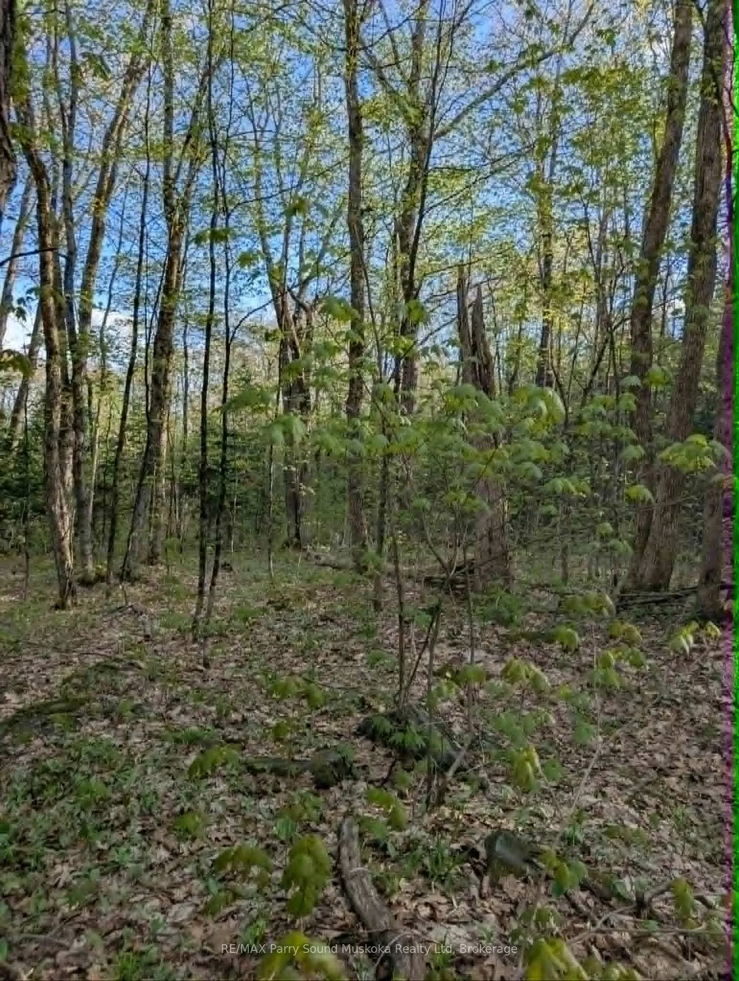 Photo 13 of Sugar Lake Road, Seguin — HOMEH
