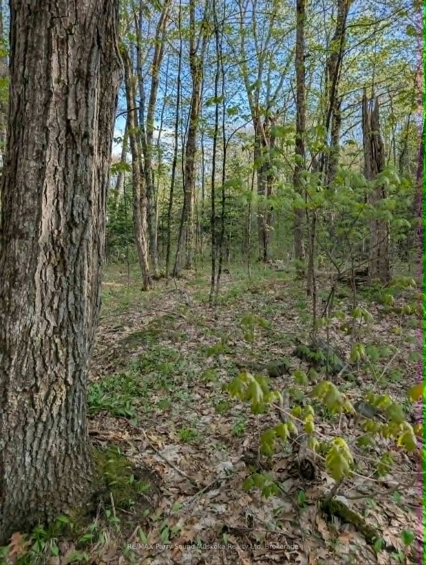 Photo 14 of Sugar Lake Road, Seguin — HOMEH