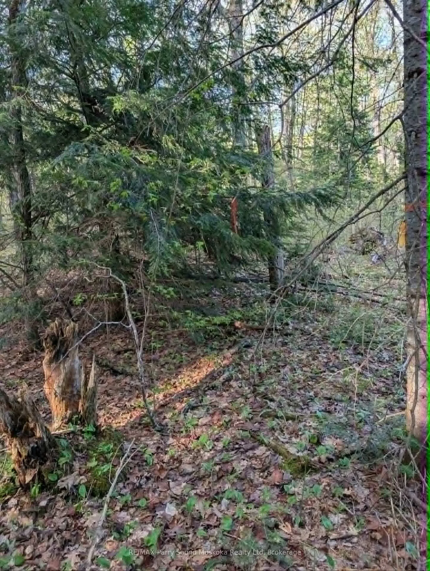 Photo 15 of Sugar Lake Road, Seguin — HOMEH