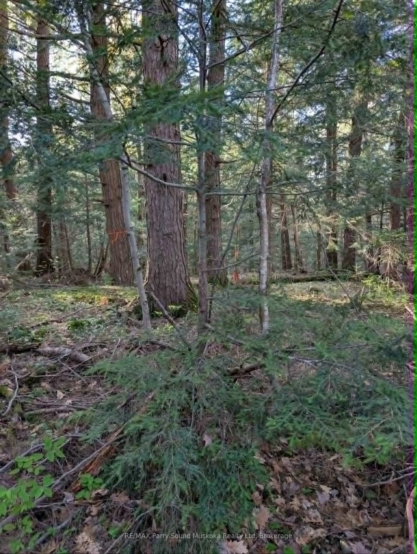 Photo 16 of Sugar Lake Road, Seguin — HOMEH