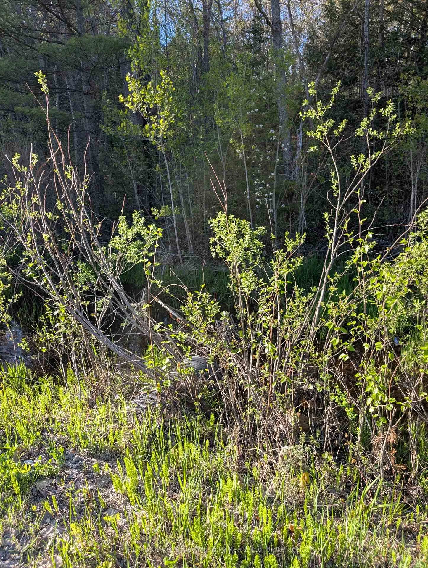 Photo 19 of Sugar Lake Road, Seguin — HOMEH