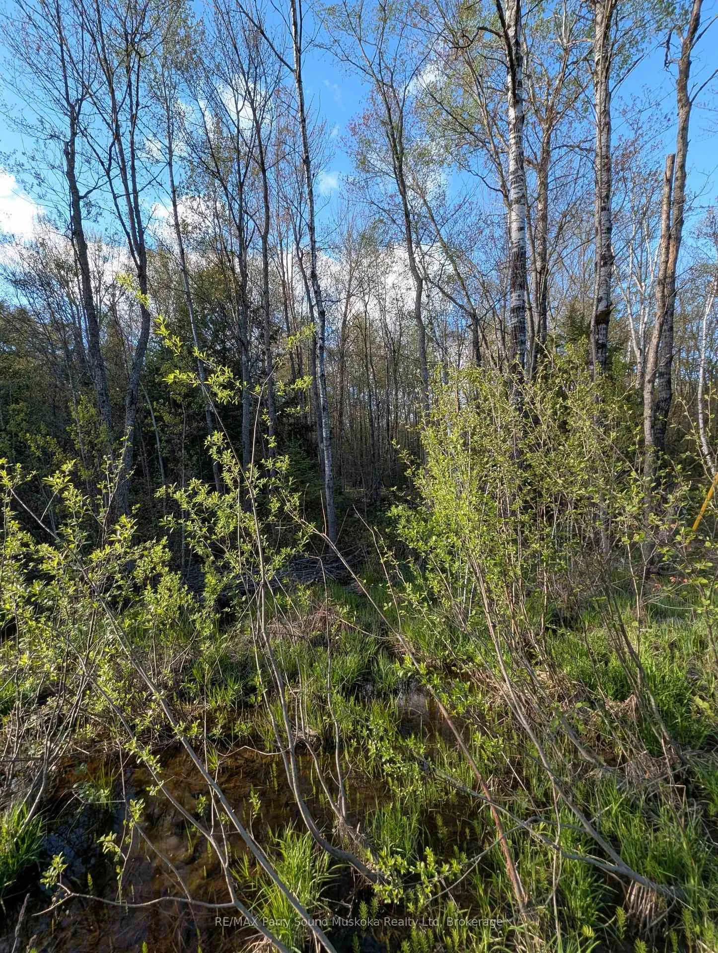 Photo 22 of Sugar Lake Road, Seguin — HOMEH