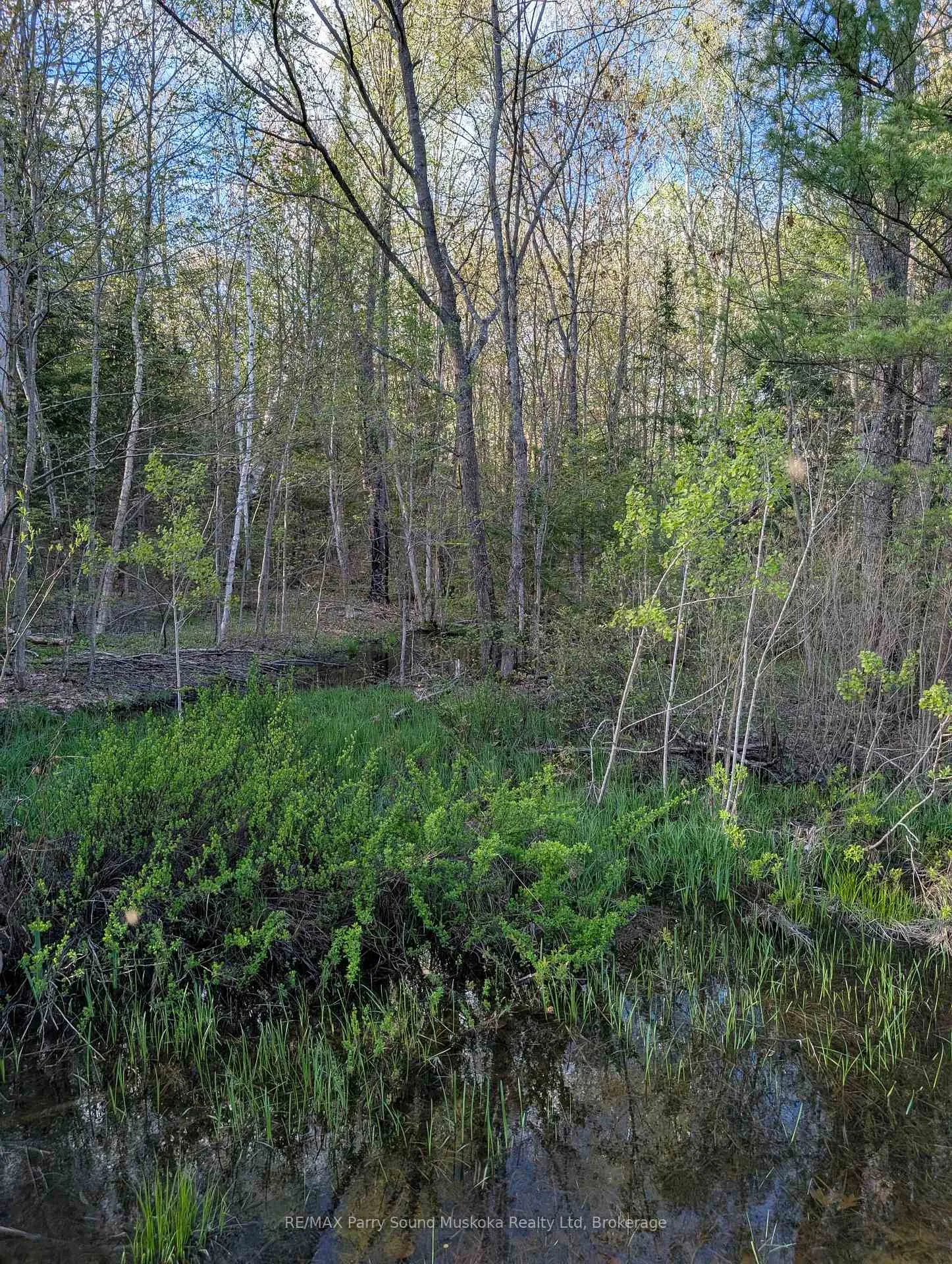 Photo 23 of Sugar Lake Road, Seguin — HOMEH