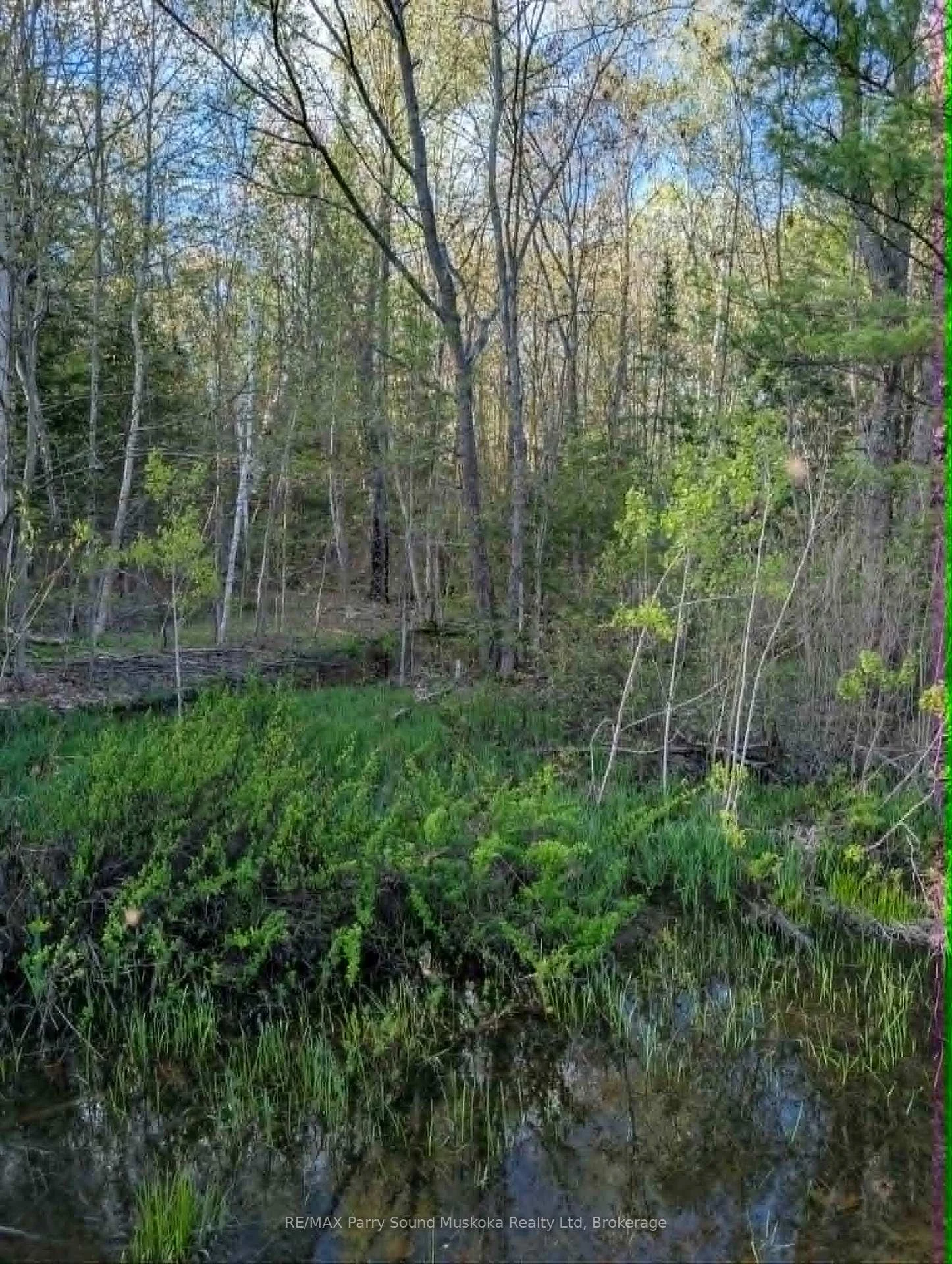Photo 18 of Sugar Lake Road, Seguin — HOMEH