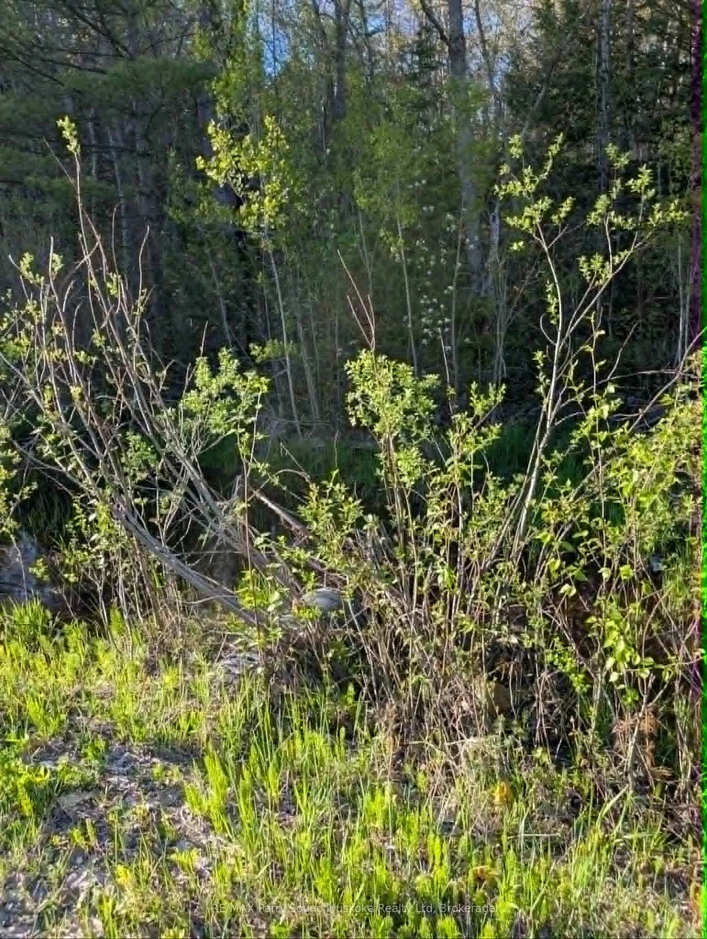 Photo 26 of Sugar Lake Road, Seguin — HOMEH