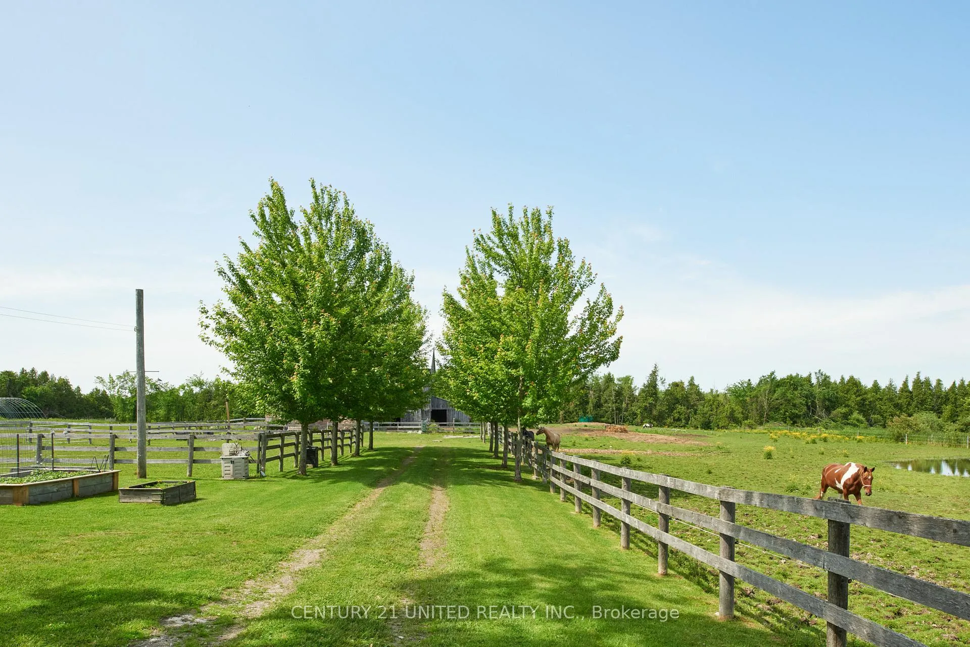 Photo 38 of 1662 11th Line, Selwyn — HOMEH