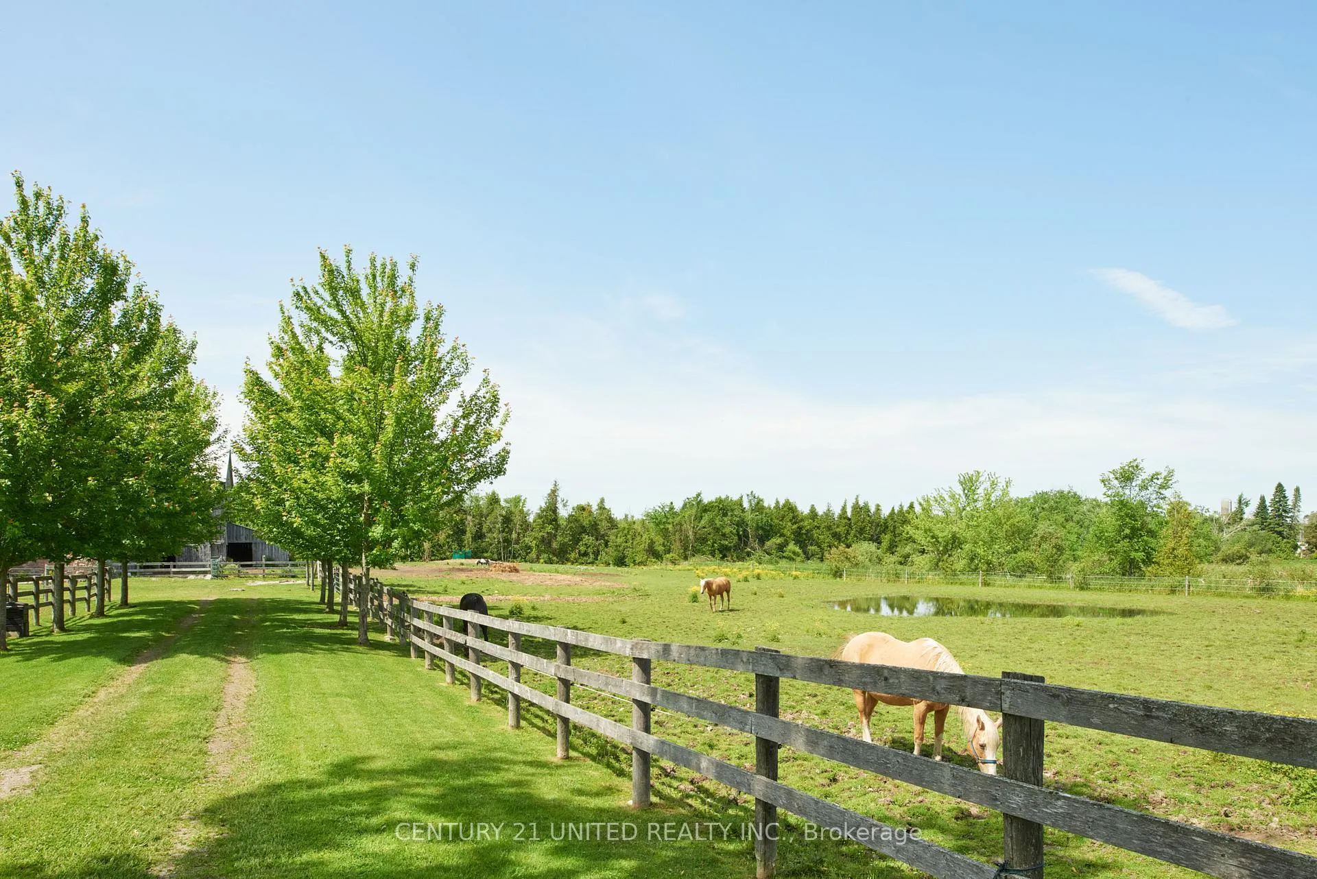 Photo 39 of 1662 11th Line, Selwyn — HOMEH