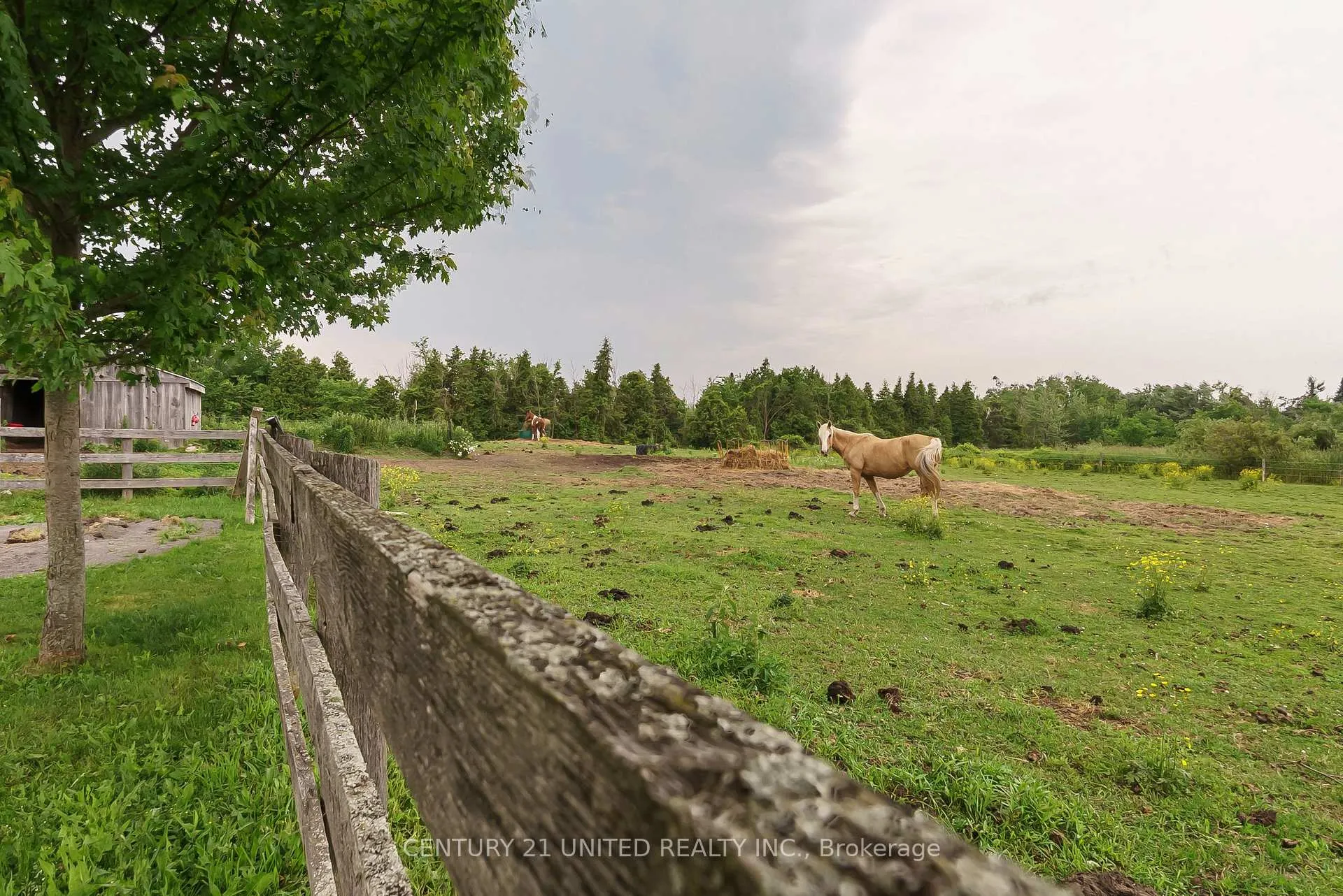 Photo 40 of 1662 11th Line, Selwyn — HOMEH