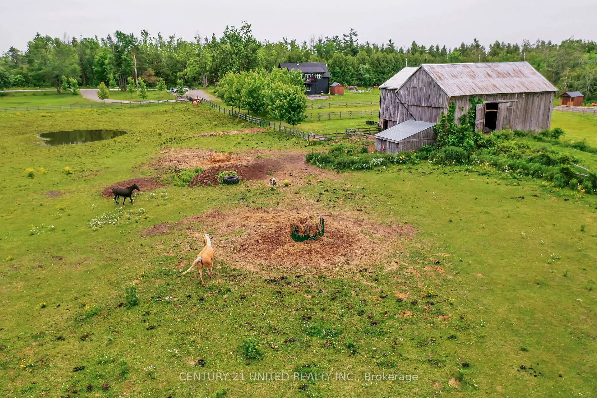 Photo 46 of 1662 11th Line, Selwyn — HOMEH