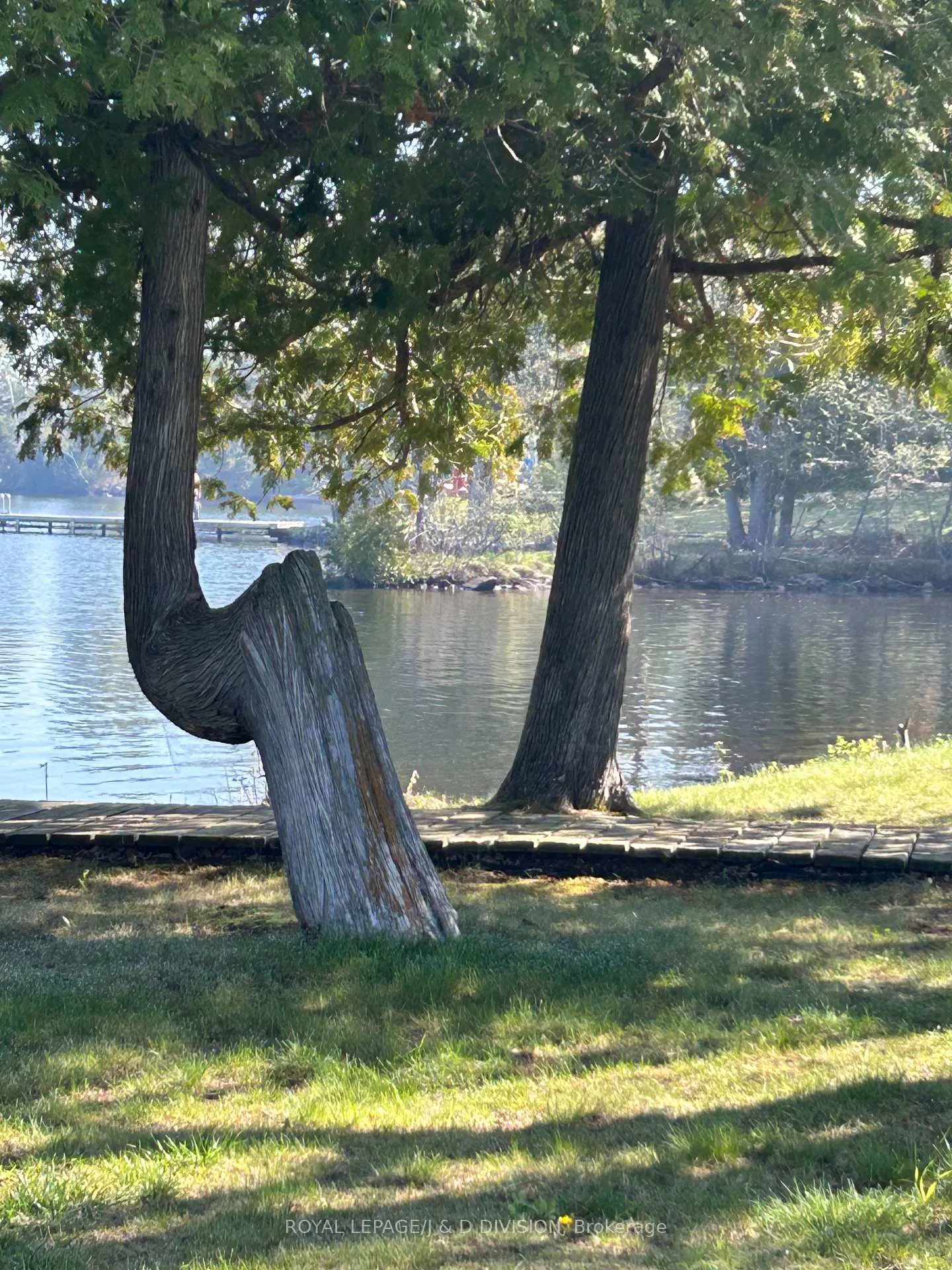 Photo 34 of 2429 Julia Shore Road W, Douro-Dummer — HOMEH