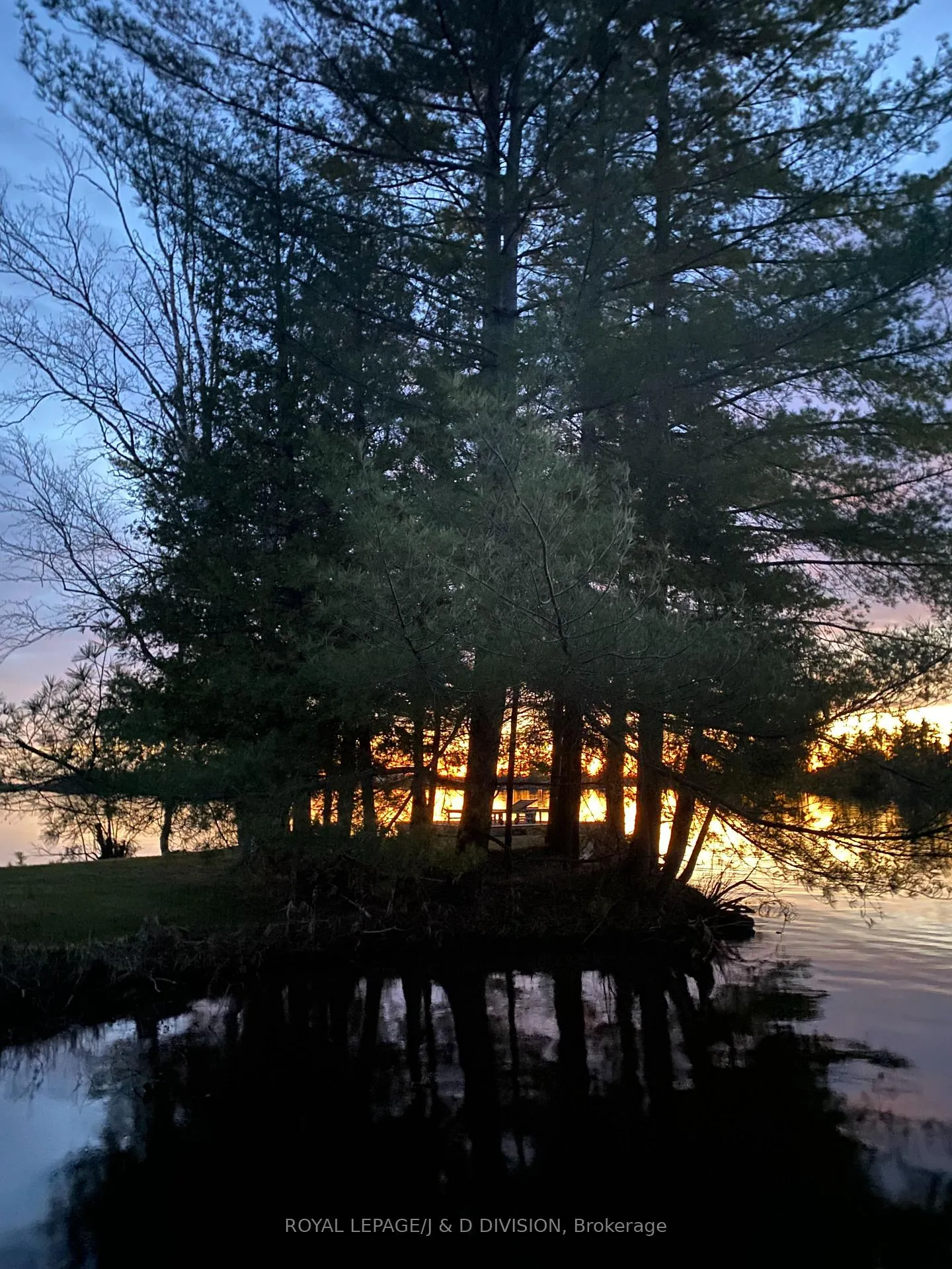 Photo 40 of 2429 Julia Shore Road W, Douro-Dummer — HOMEH