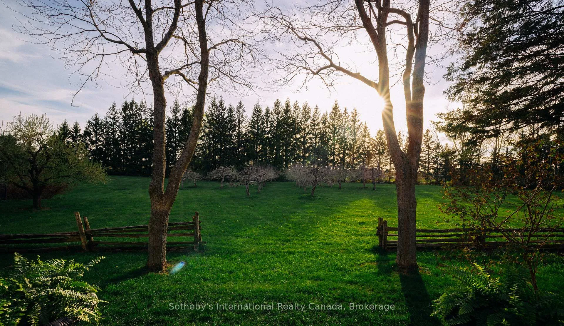 Photo 38 of 47014 Old Mail Road, Grey Highlands — HOMEH
