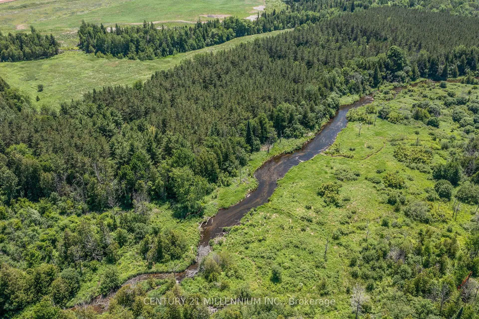Photo 46 of 41 Pine Ridge Road, Erin, Rural Erin — HOMEH