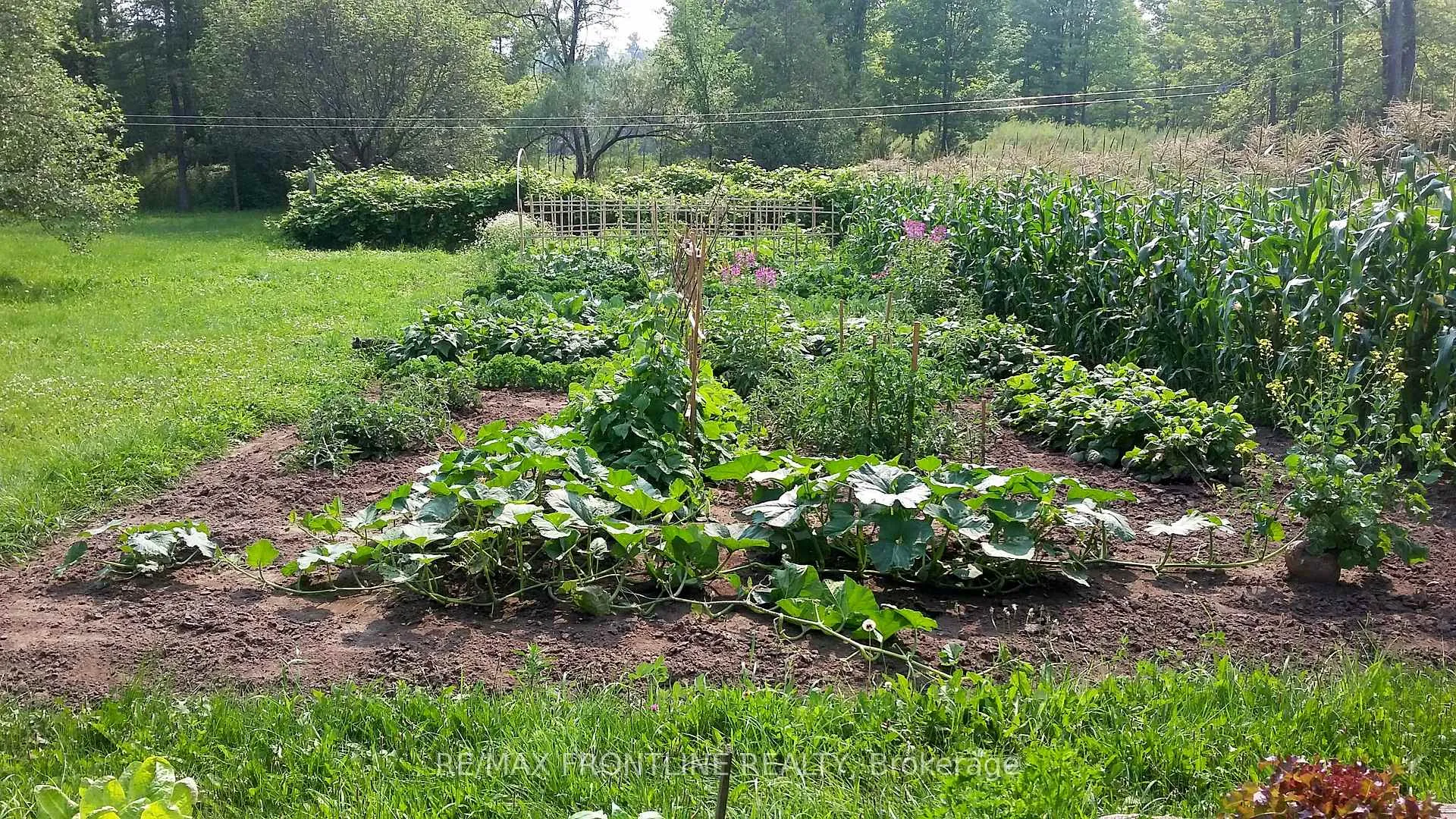 Photo 29 of 1189 Willis-Armstrong Road, Frontenac, Frontenac Centre — HOMEH