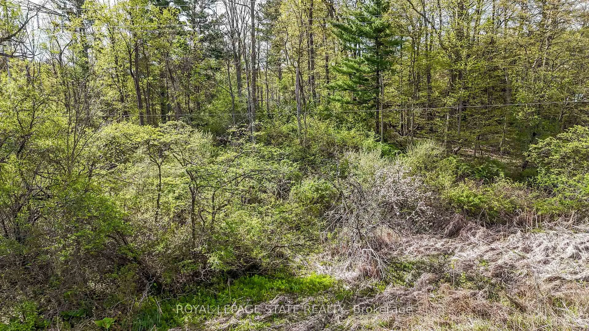 Photo 1 of Mineral Springs Road, Hamilton, Rural Ancaster — HOMEH