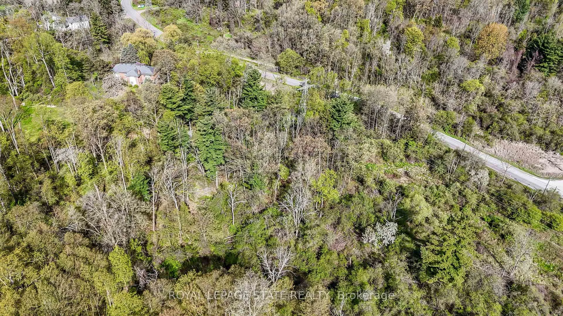 Photo 2 of Mineral Springs Road, Hamilton, Rural Ancaster — HOMEH