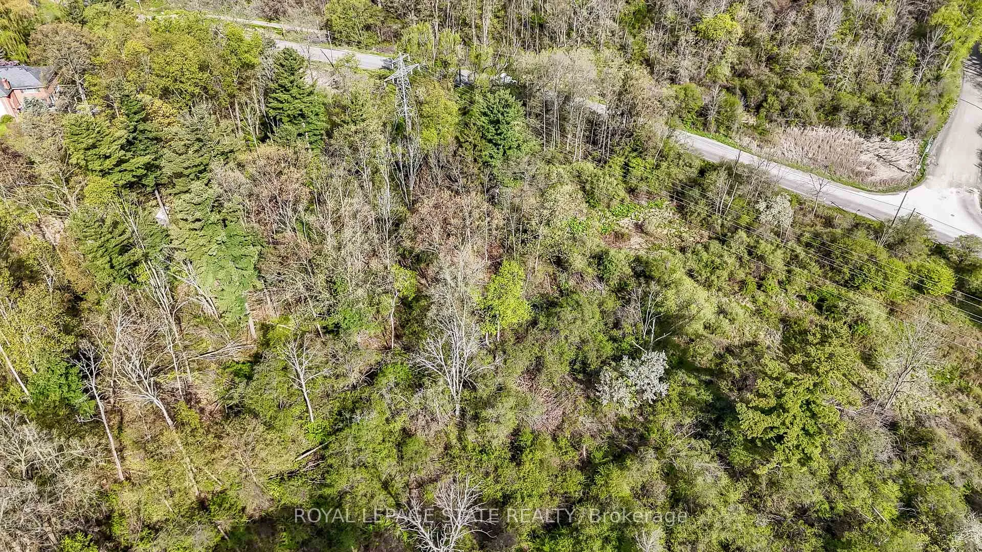 Photo 4 of Mineral Springs Road, Hamilton, Rural Ancaster — HOMEH
