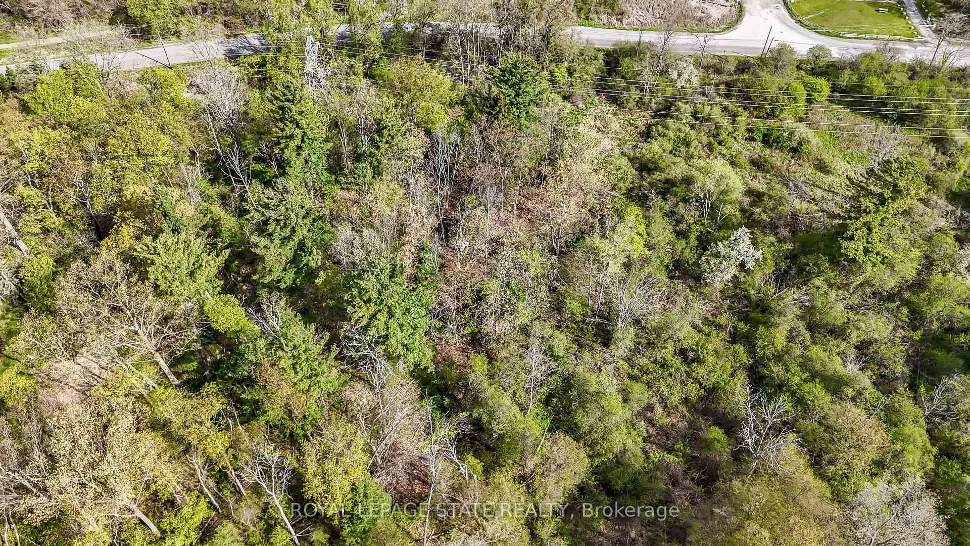 Photo 5 of Mineral Springs Road, Hamilton, Rural Ancaster — HOMEH