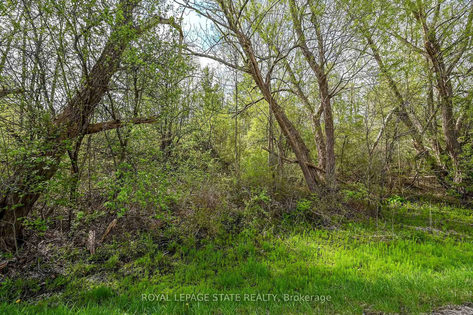 Photo 7 of Mineral Springs Road, Hamilton, Rural Ancaster — HOMEH