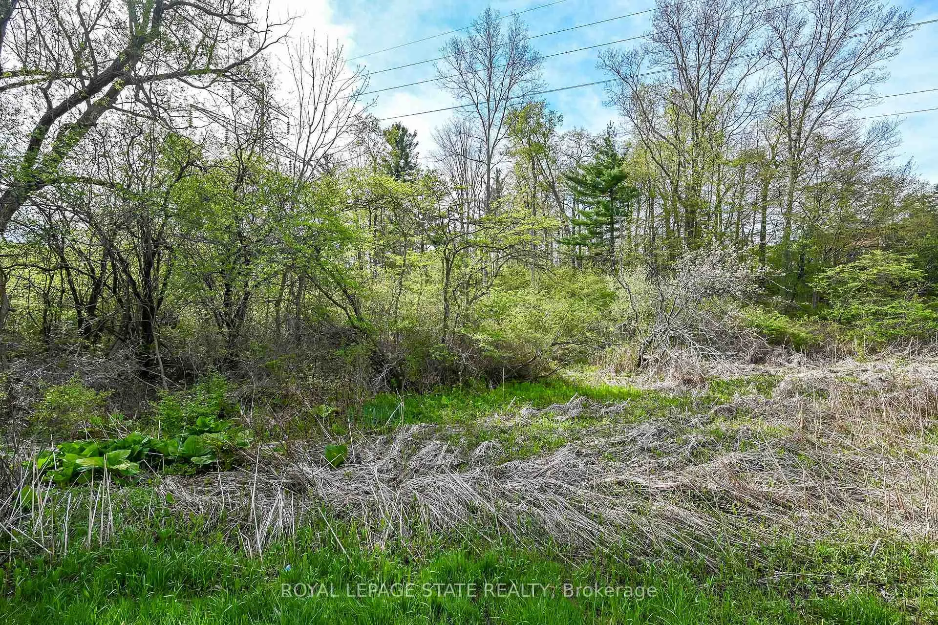 Photo 8 of Mineral Springs Road, Hamilton, Rural Ancaster — HOMEH