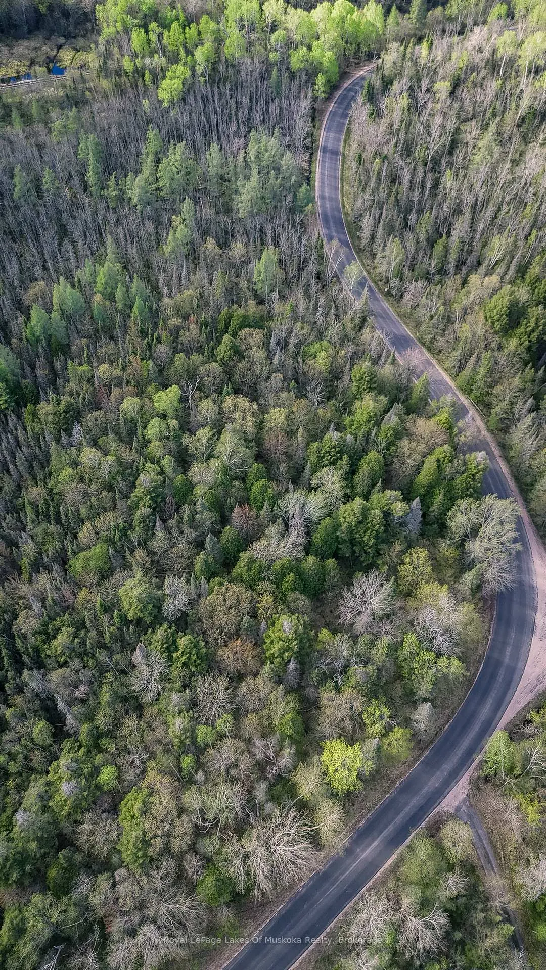 Photo 5 of High Rock Drive, Strong — HOMEH