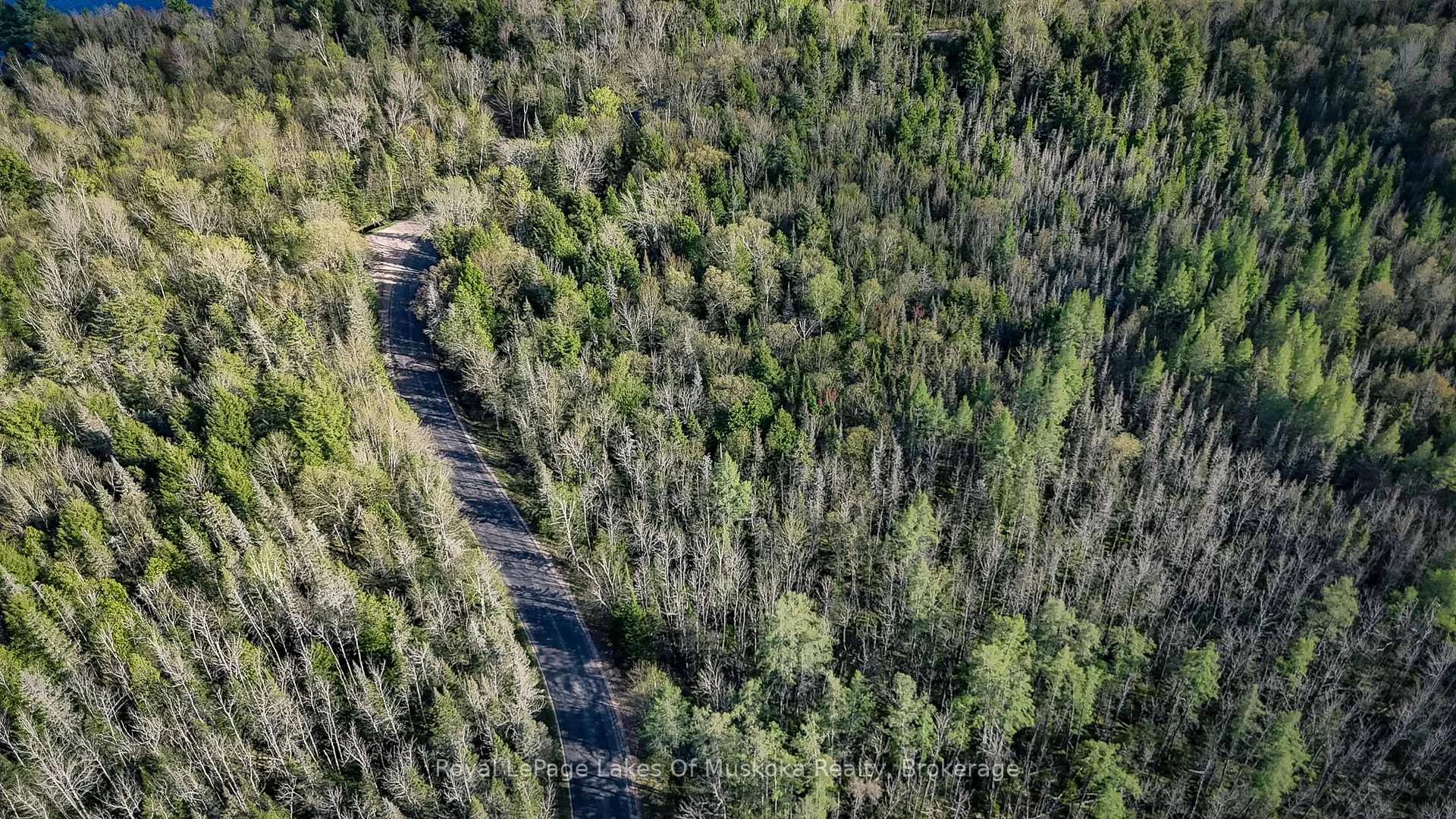 Photo 6 of High Rock Drive, Strong — HOMEH