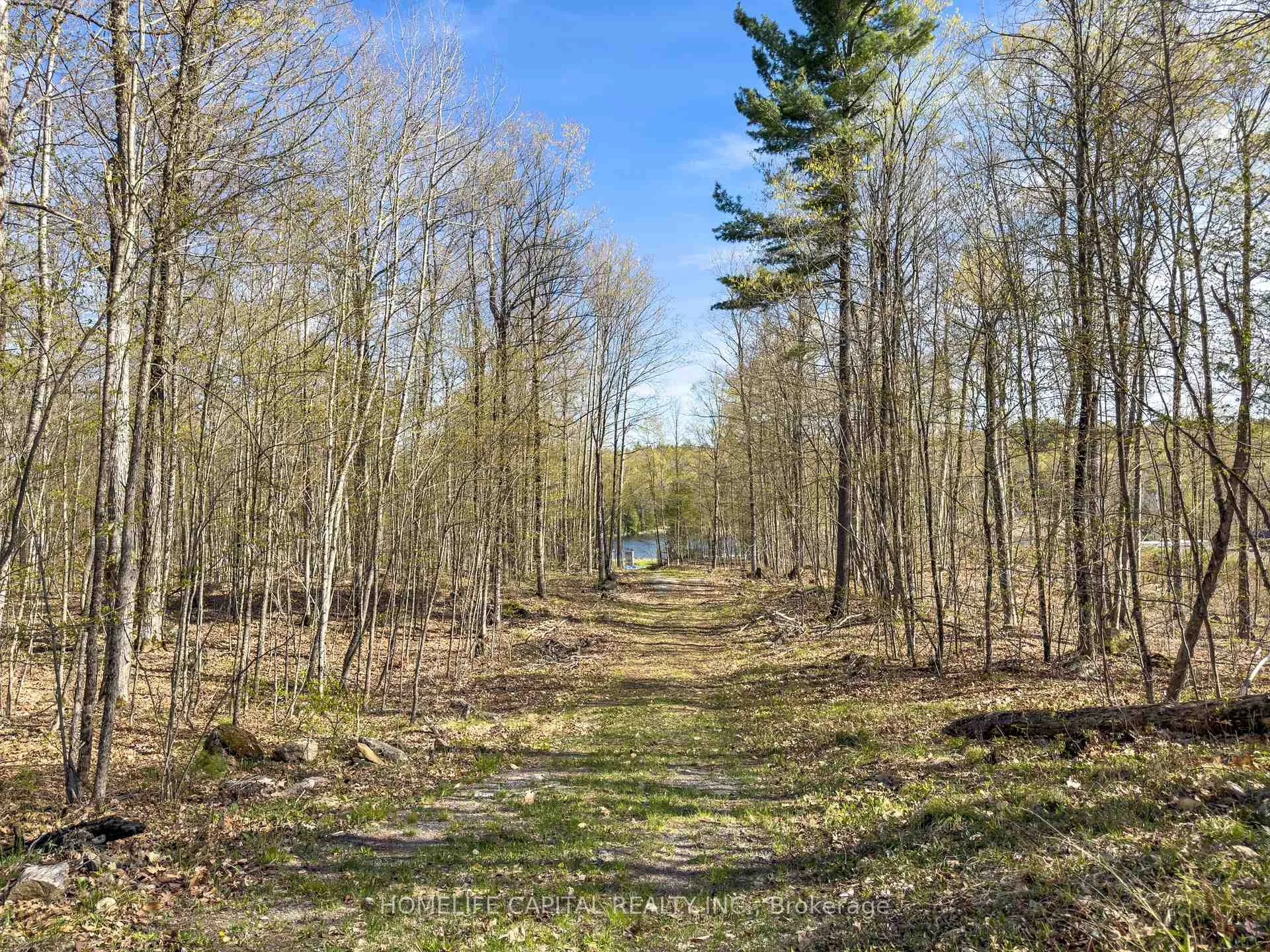 Photo 22 of 211 Lacourse Lane, Lanark Highlands, Lanark Highlands (Darling) Twp — HOMEH