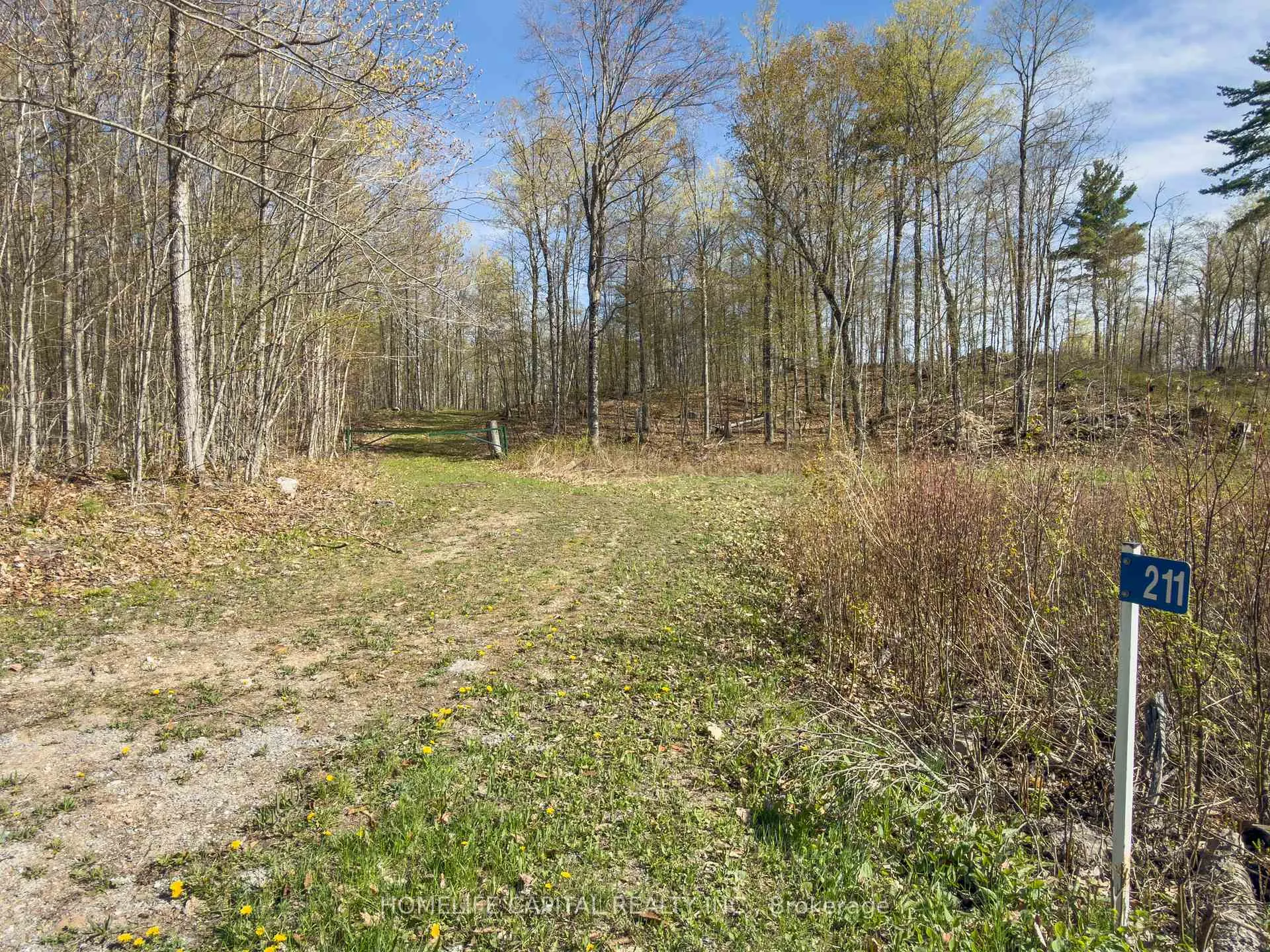 Photo 24 of 211 Lacourse Lane, Lanark Highlands, Lanark Highlands (Darling) Twp — HOMEH