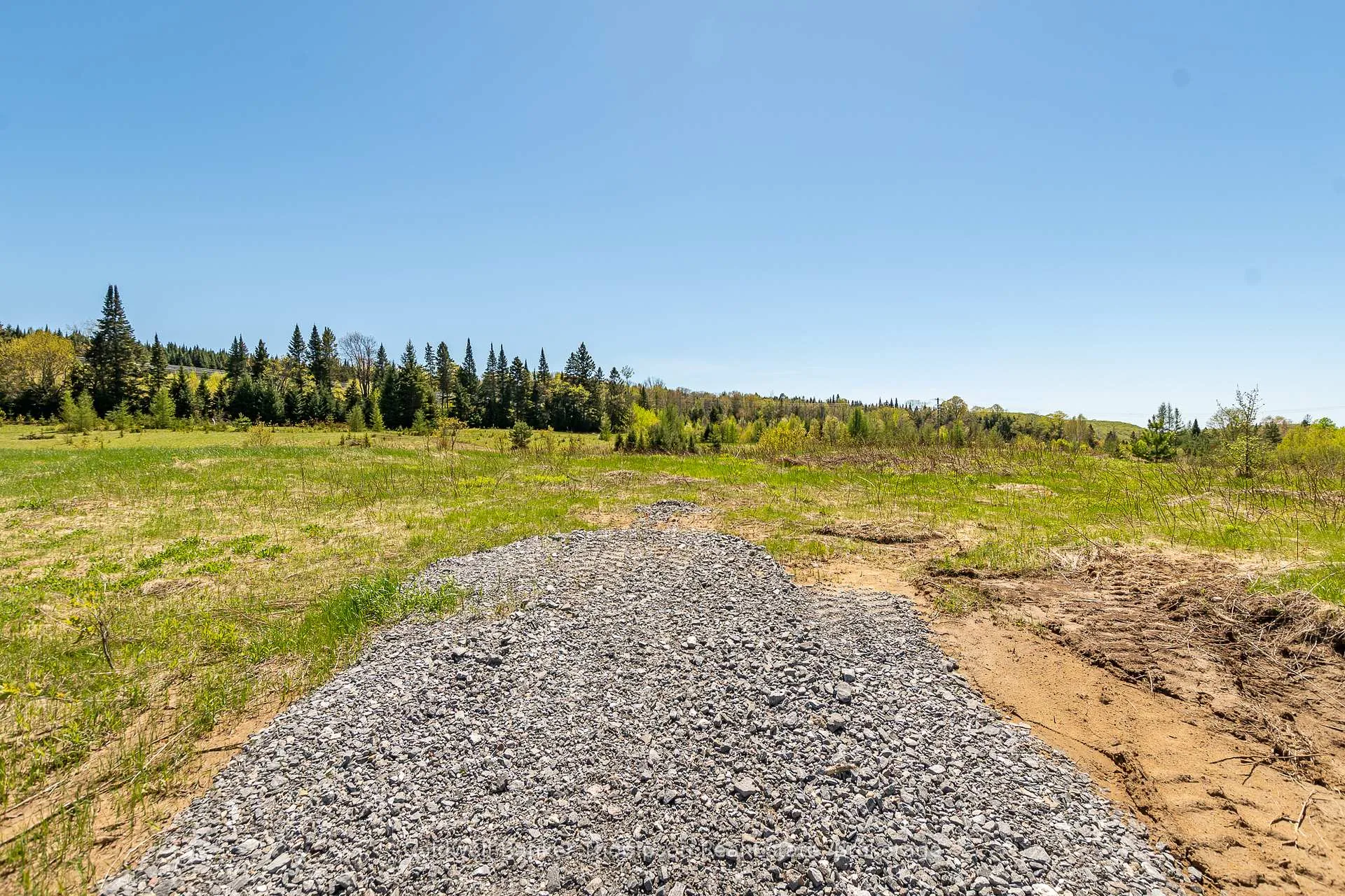 Photo 7 of Part 3 Peggs Mountain Road, Armour — HOMEH
