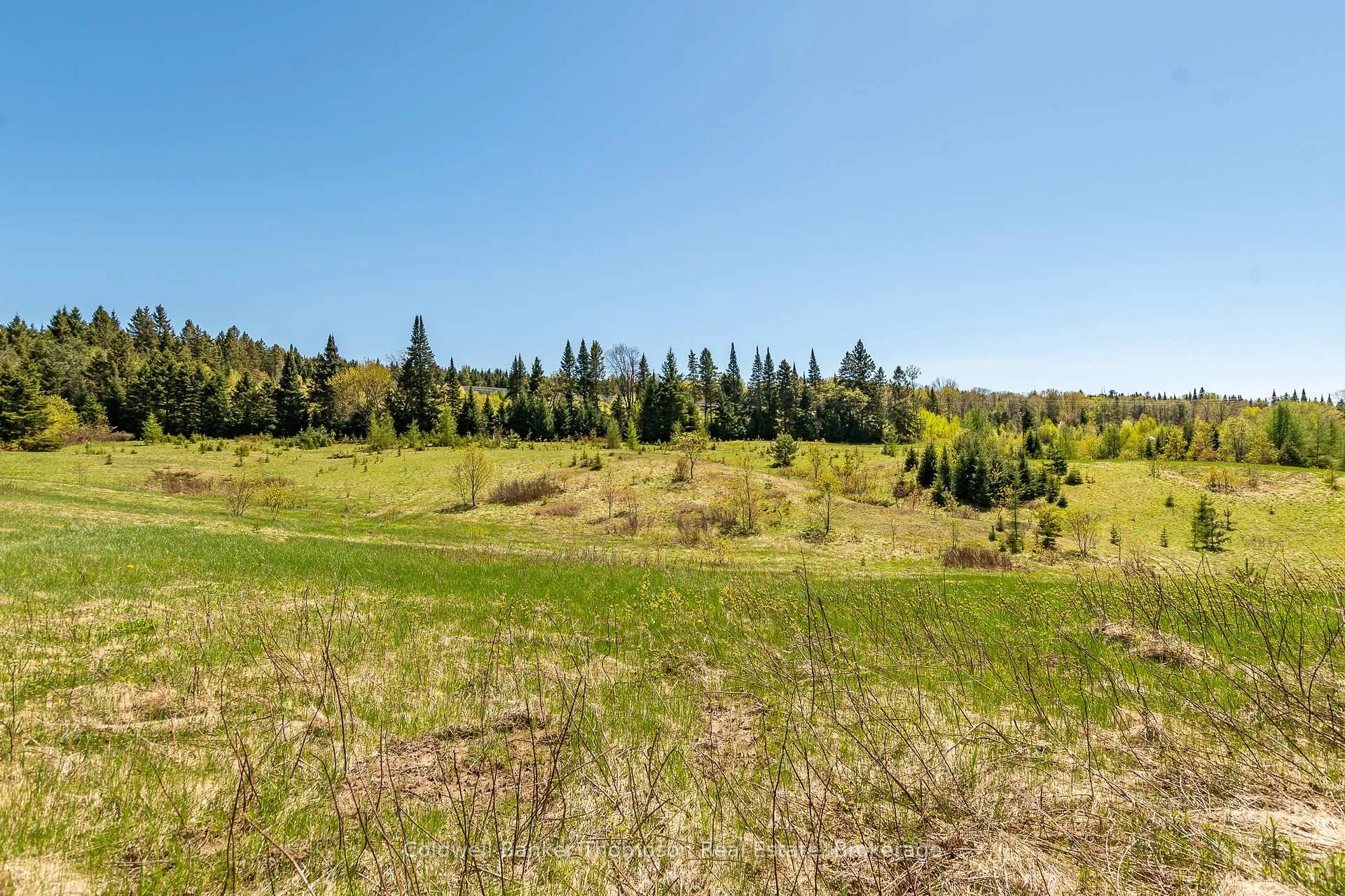 Photo 8 of Part 3 Peggs Mountain Road, Armour — HOMEH