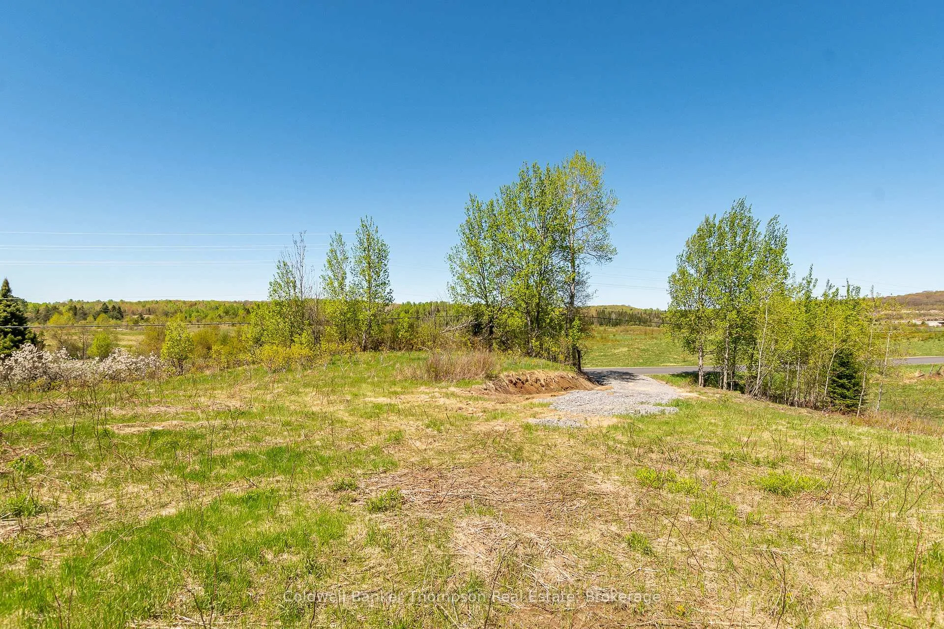 Photo 9 of Part 3 Peggs Mountain Road, Armour — HOMEH
