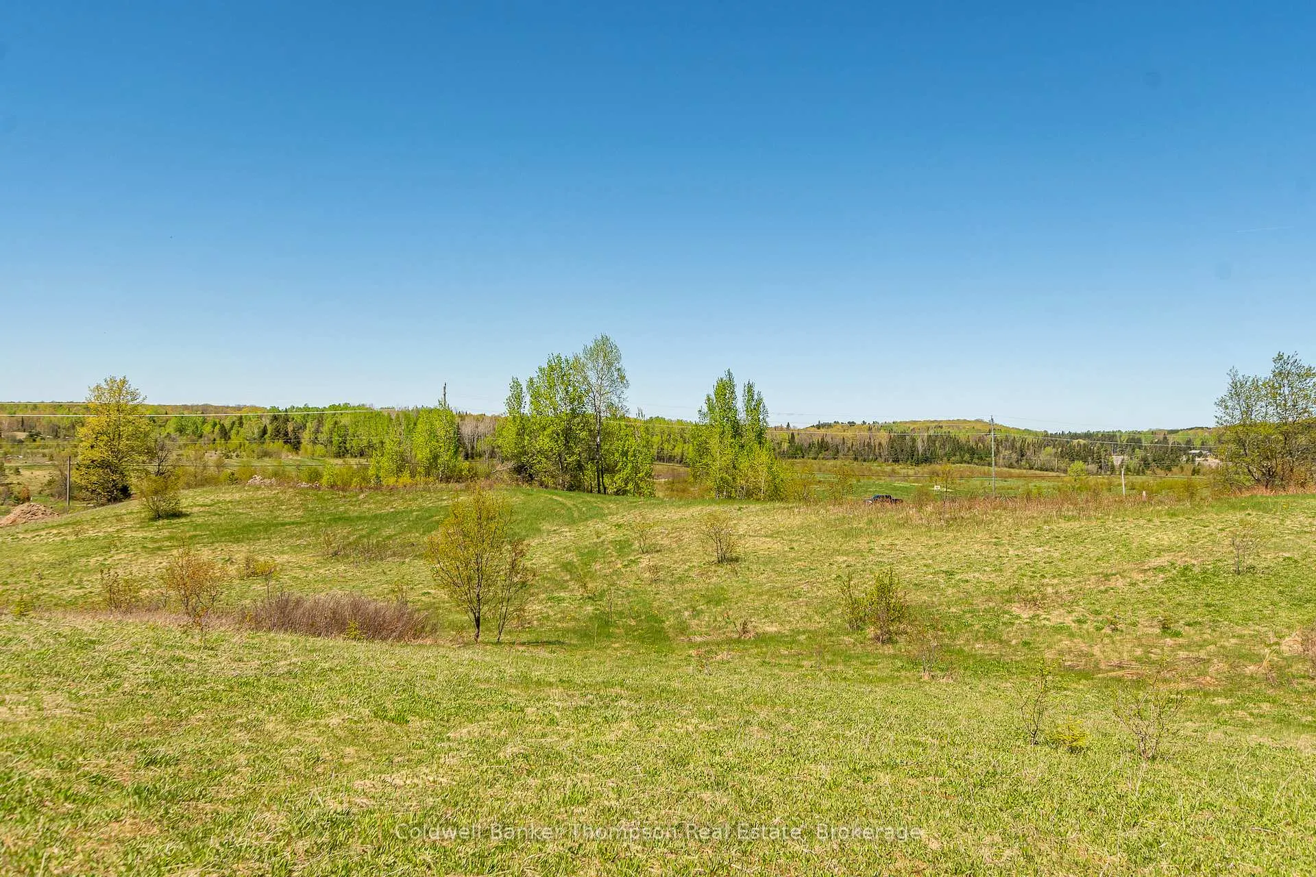Photo 10 of Part 3 Peggs Mountain Road, Armour — HOMEH
