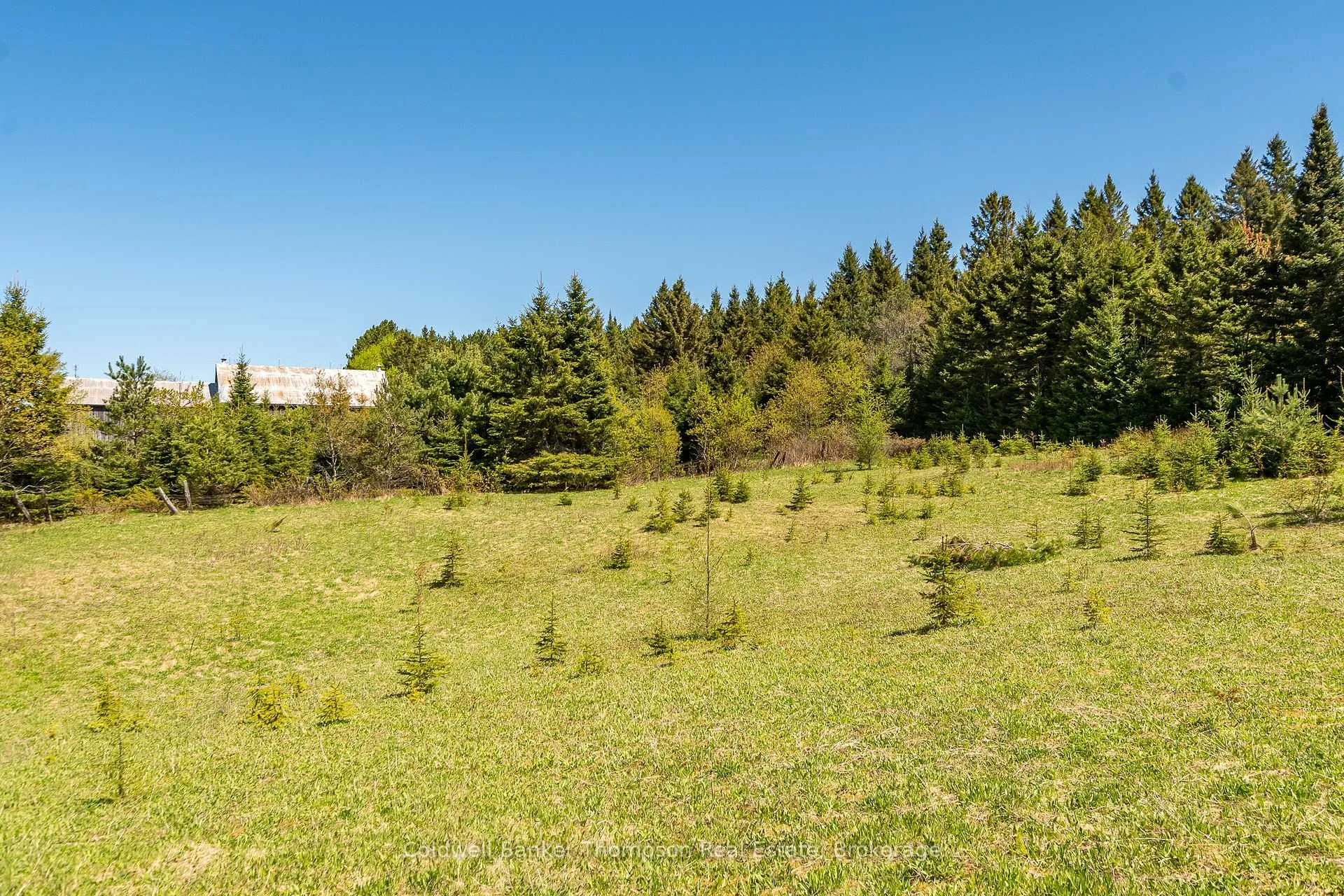 Photo 11 of Part 3 Peggs Mountain Road, Armour — HOMEH