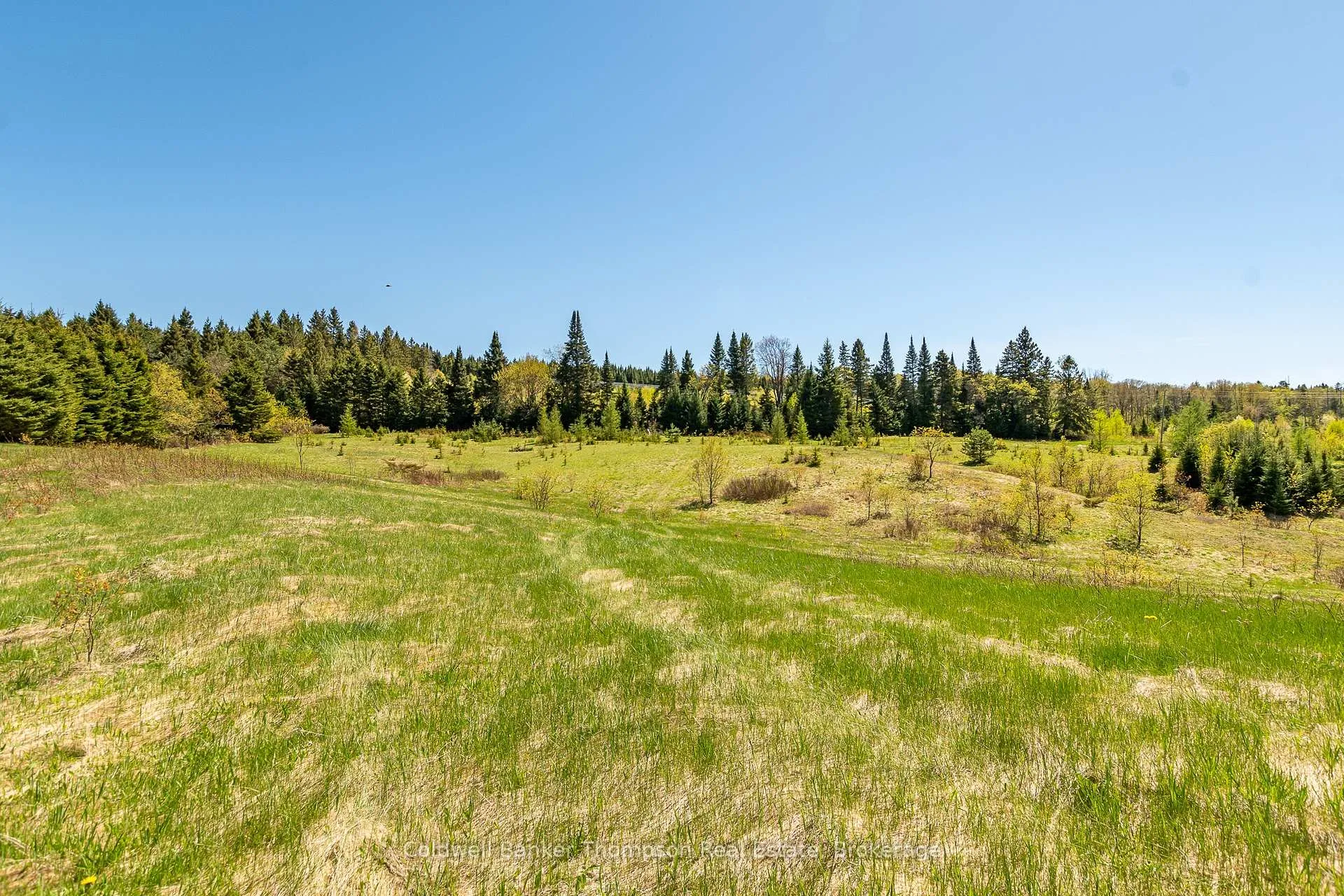 Photo 13 of Part 3 Peggs Mountain Road, Armour — HOMEH