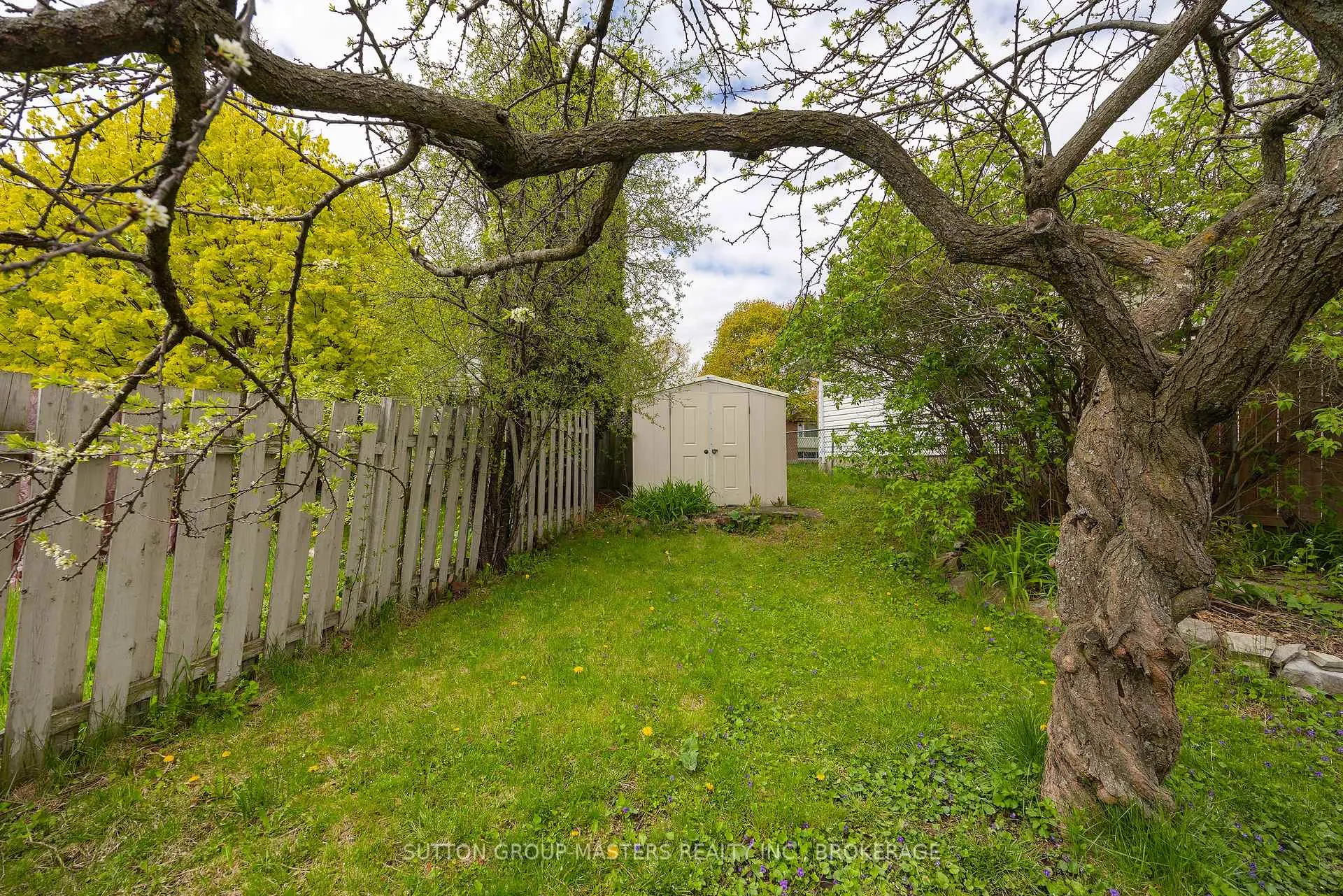 Photo 11 of 119 Dauphin Avenue, Kingston, Rideau — HOMEH