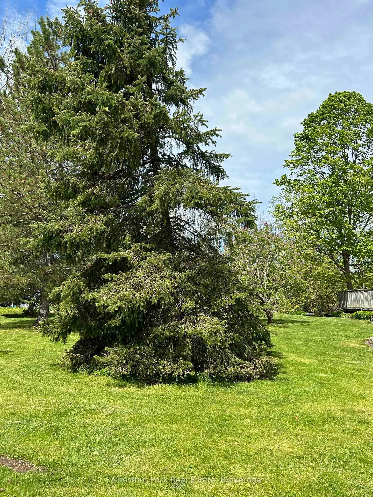 Photo of 13 Pollard Drive