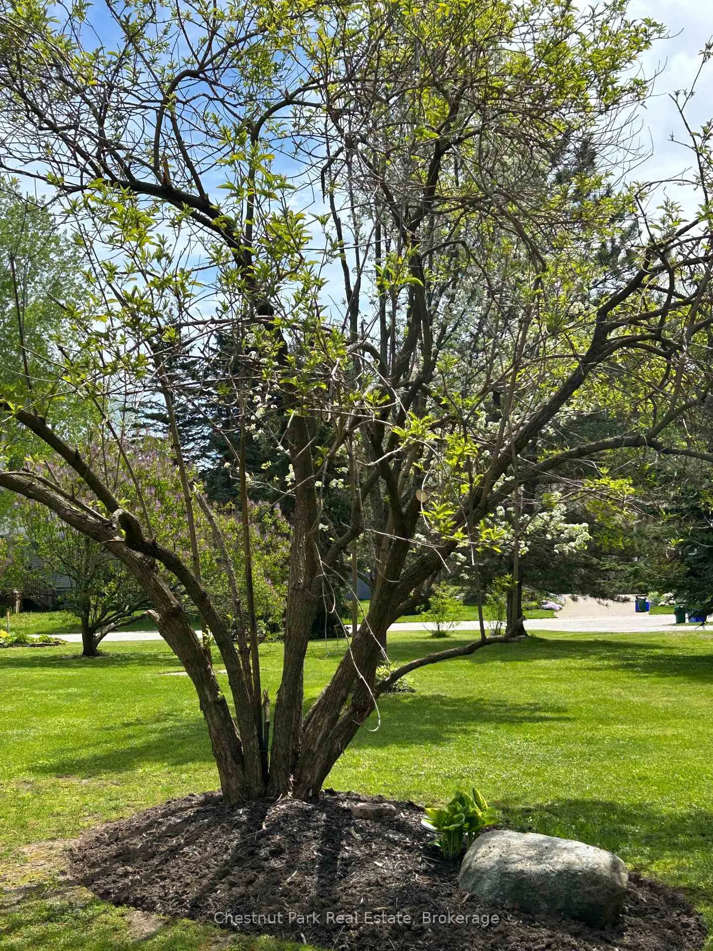 Photo 23 of 13 Pollard Drive, Meaford — HOMEH