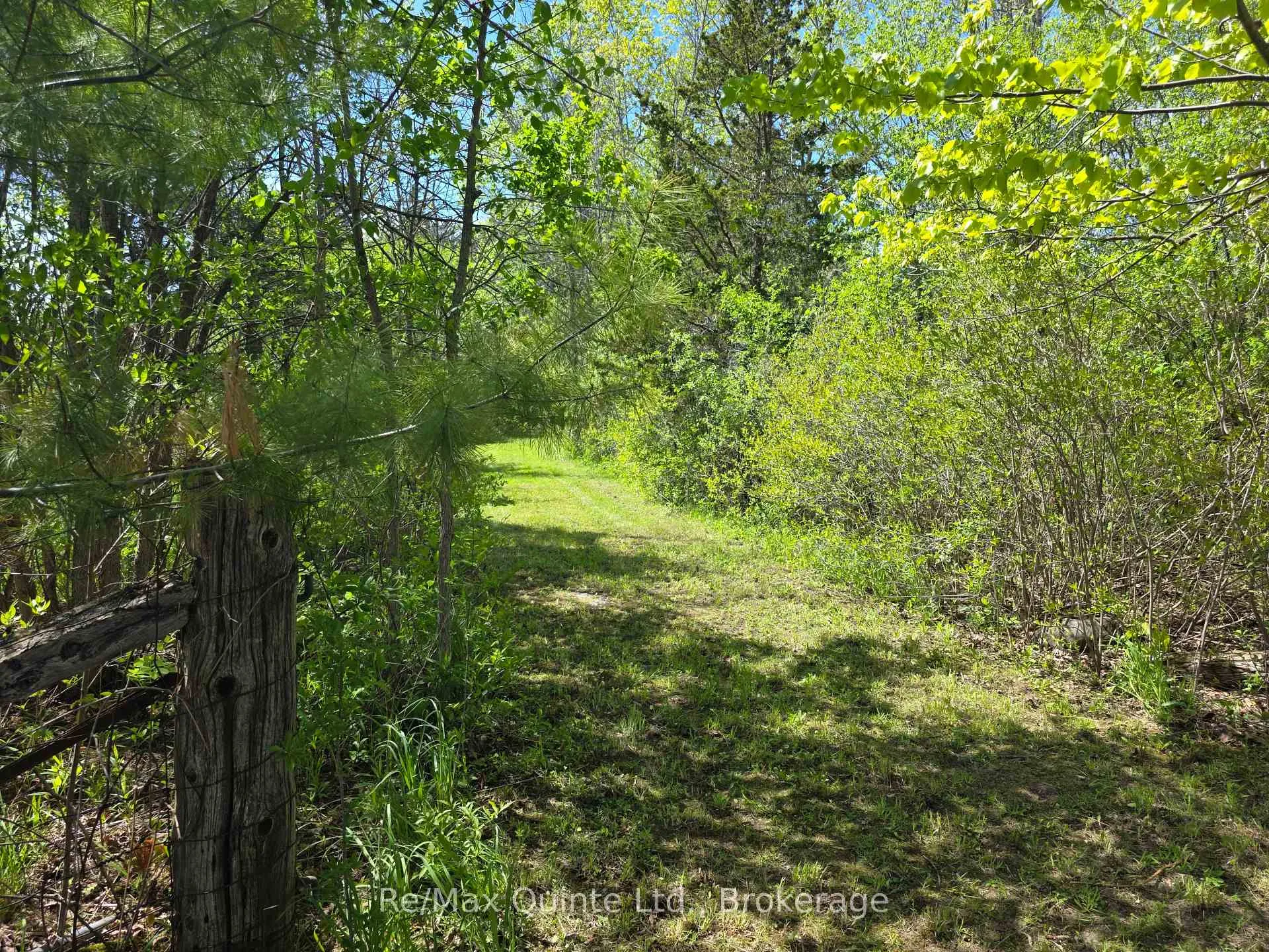 Photo 5 of Across From 3904 Cty Rd 49, Prince Edward County, Sophiasburg Ward — HOMEH