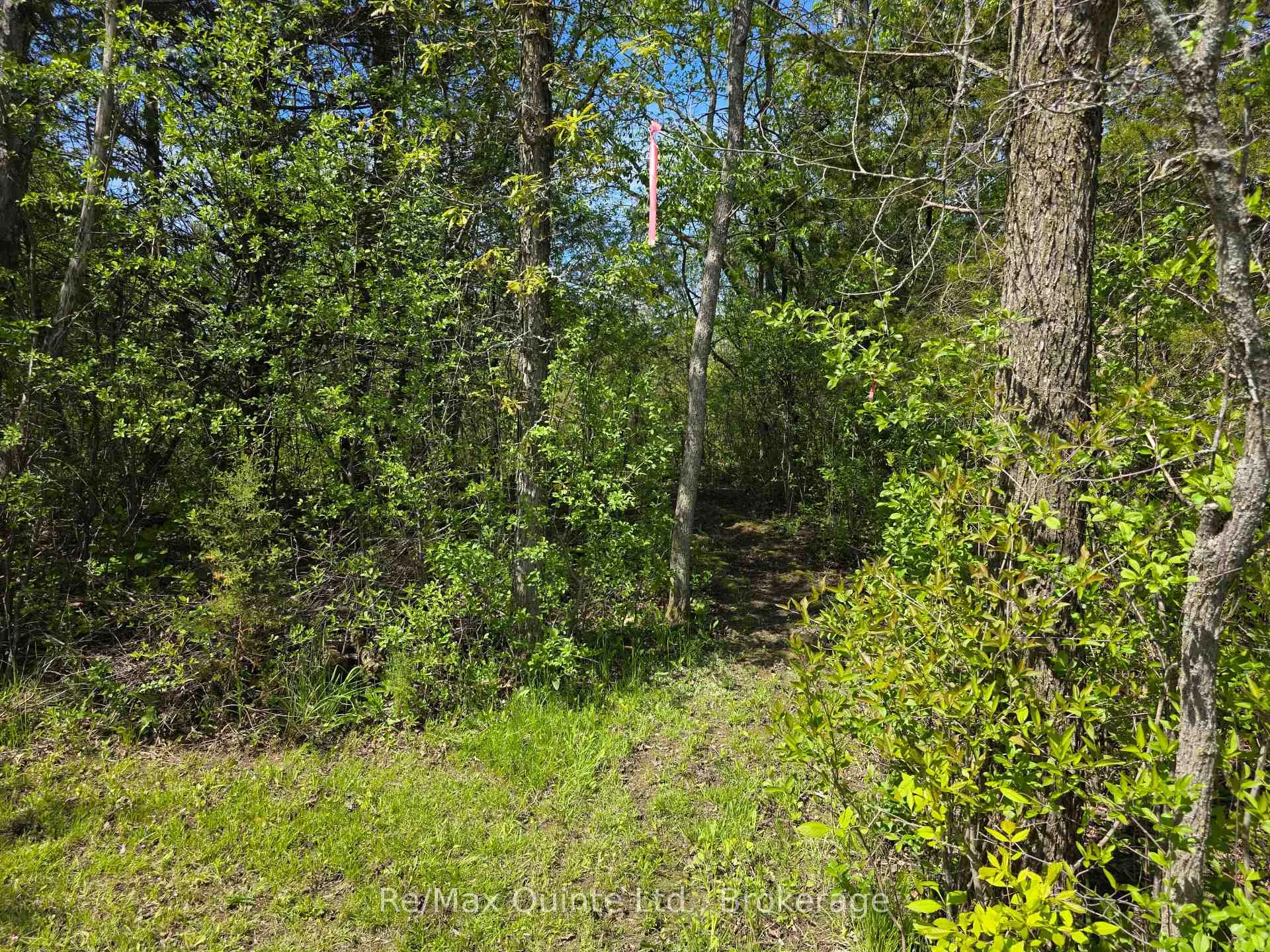 Photo 6 of Across From 3904 Cty Rd 49, Prince Edward County, Sophiasburg Ward — HOMEH