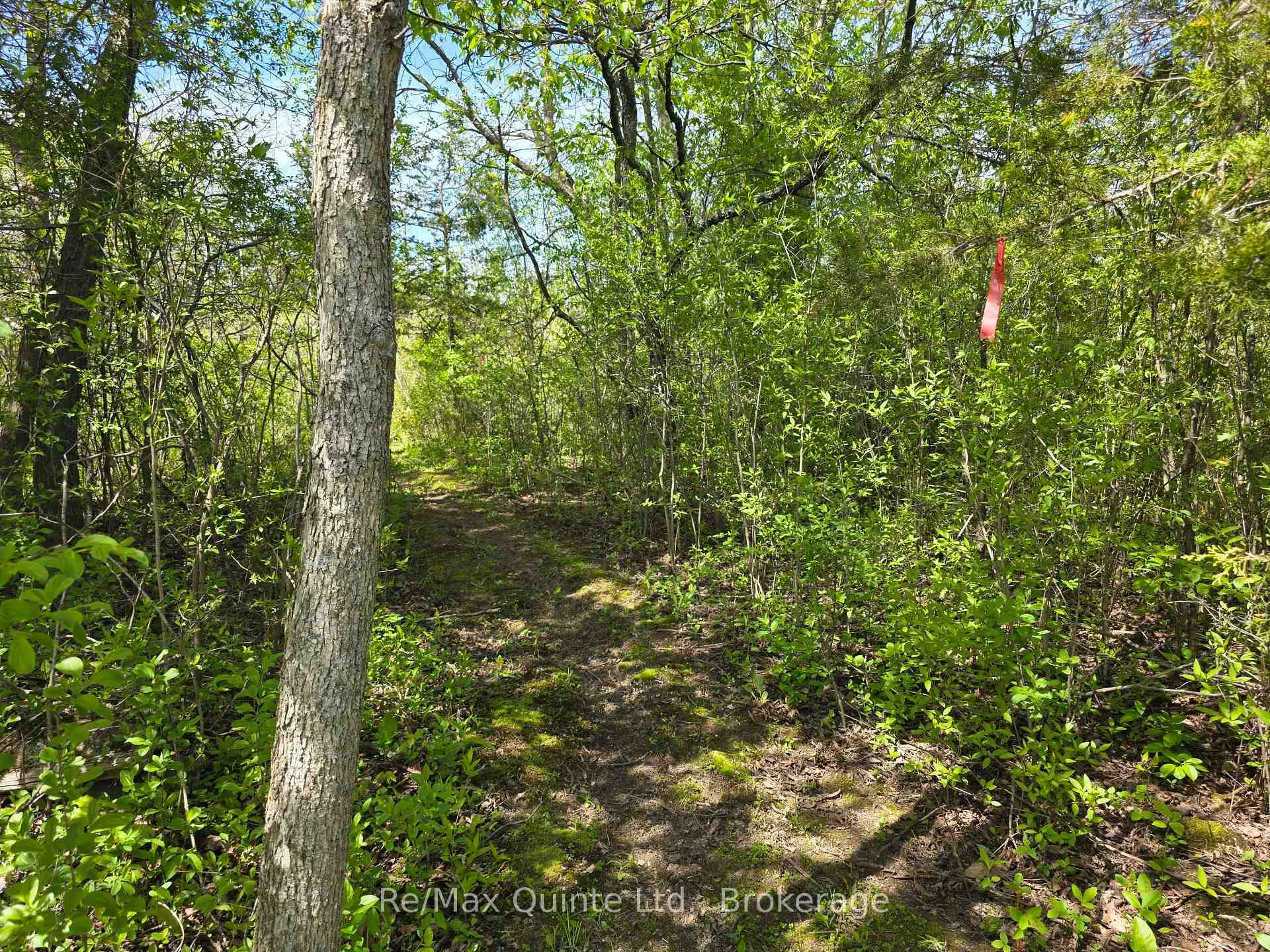 Photo 7 of Across From 3904 Cty Rd 49, Prince Edward County, Sophiasburg Ward — HOMEH