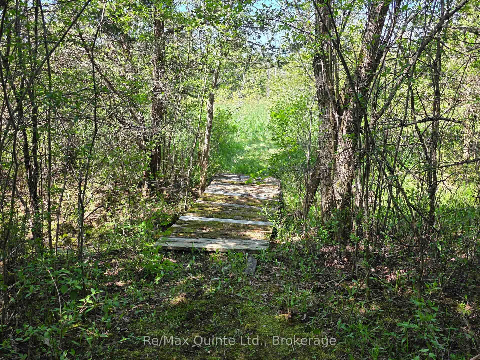 Photo 8 of Across From 3904 Cty Rd 49, Prince Edward County, Sophiasburg Ward — HOMEH
